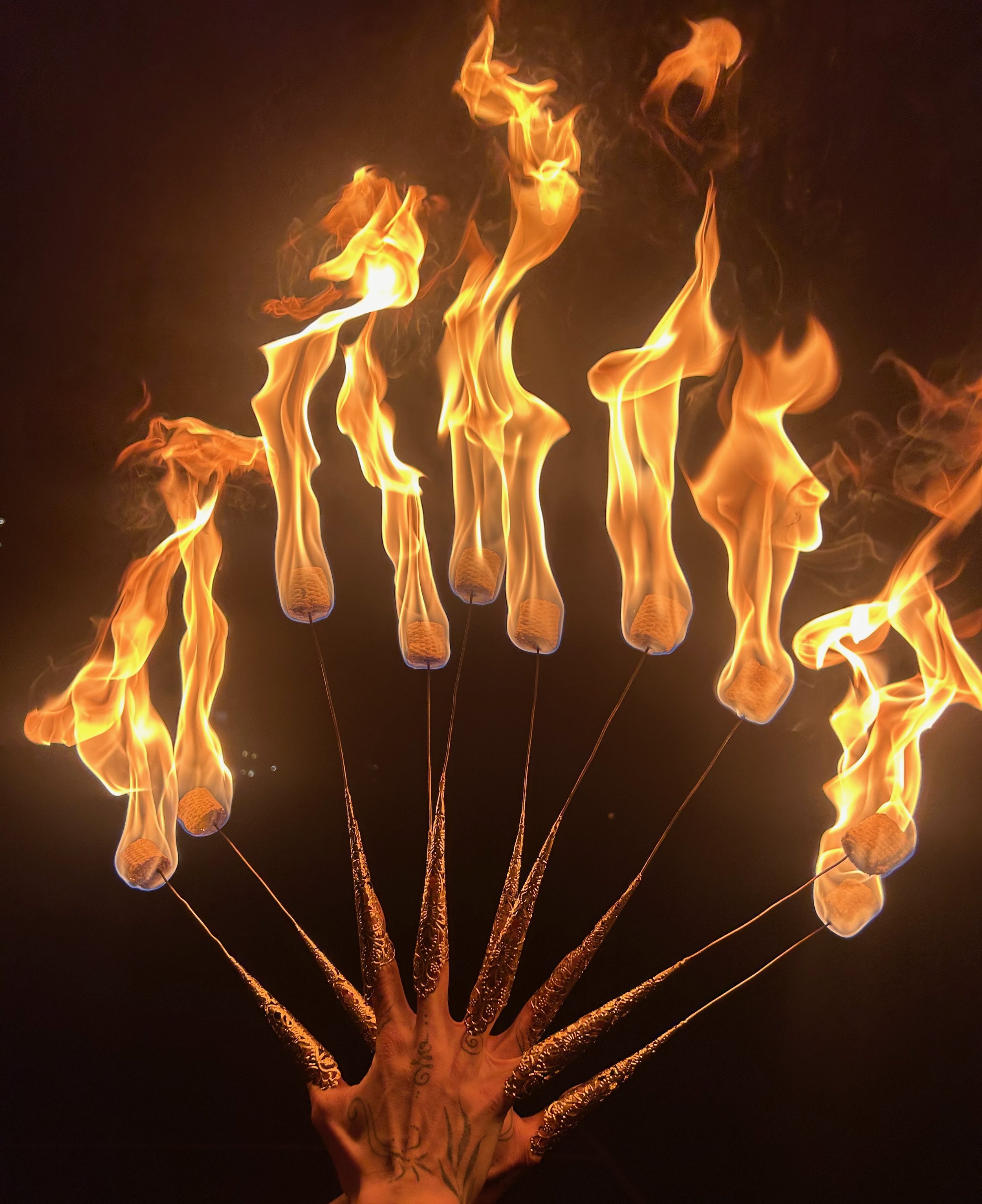 IMG_8015.jpeg (Copy)