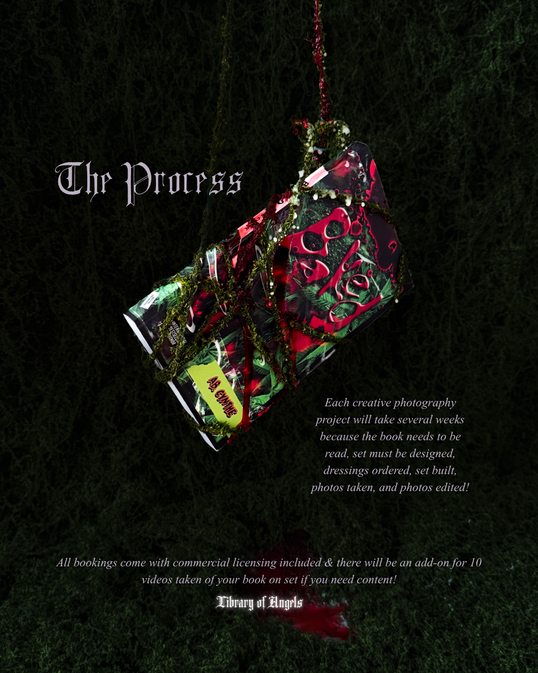 Meet The Angel's Citdel_ Cover (3).png