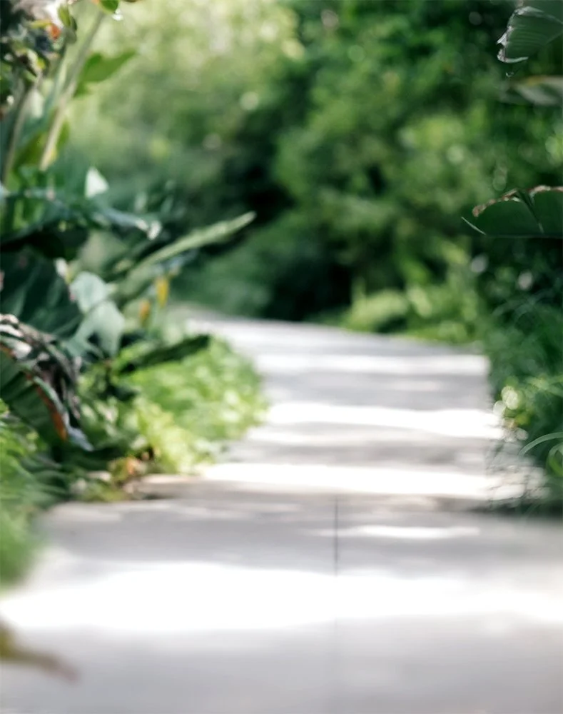 A blurry outdoor pathway with lush green foliage on both sides.