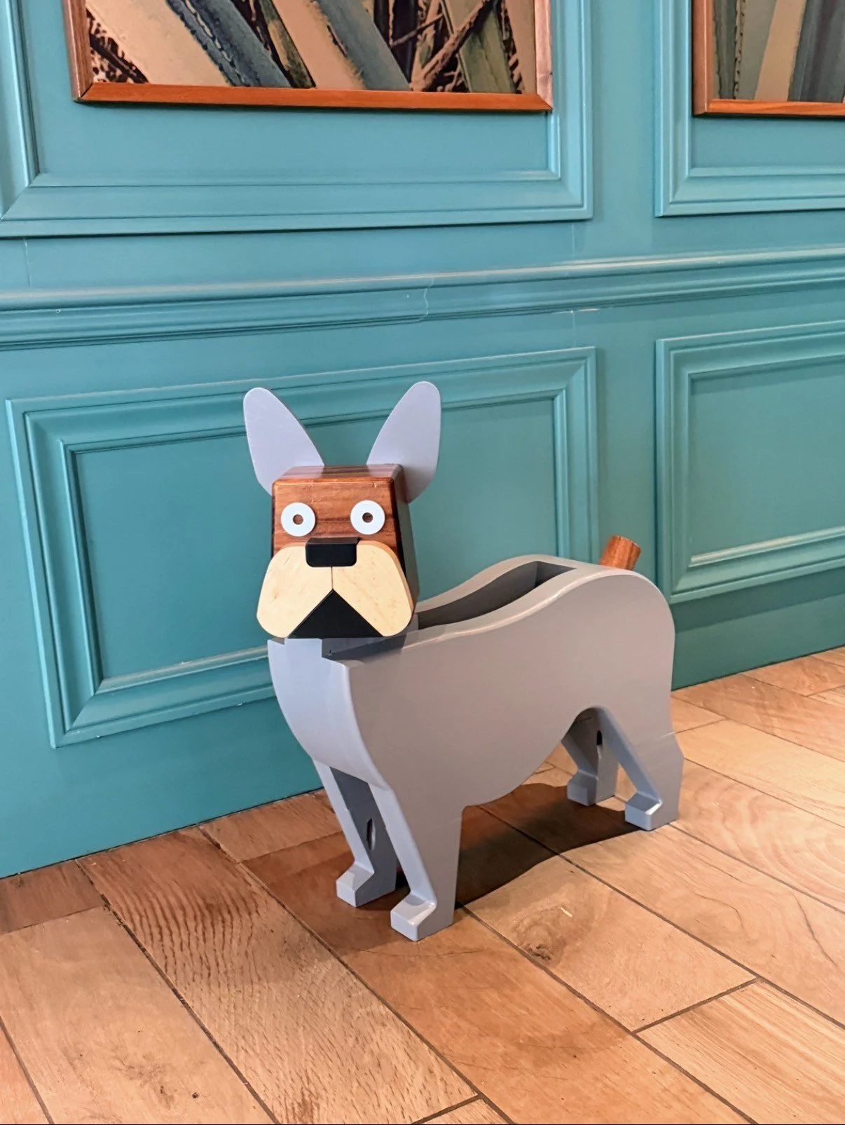 Grey & Tricolor Frenchie