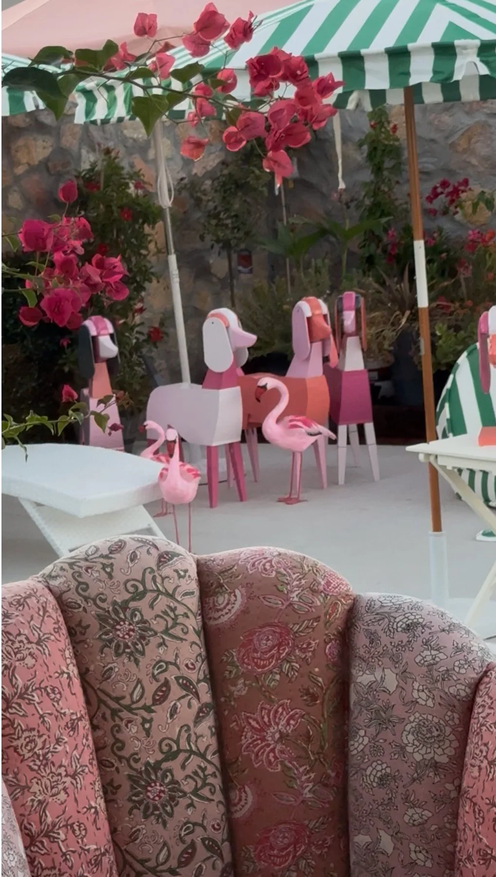 Flamboyance of Poodles/ Collection Bundle