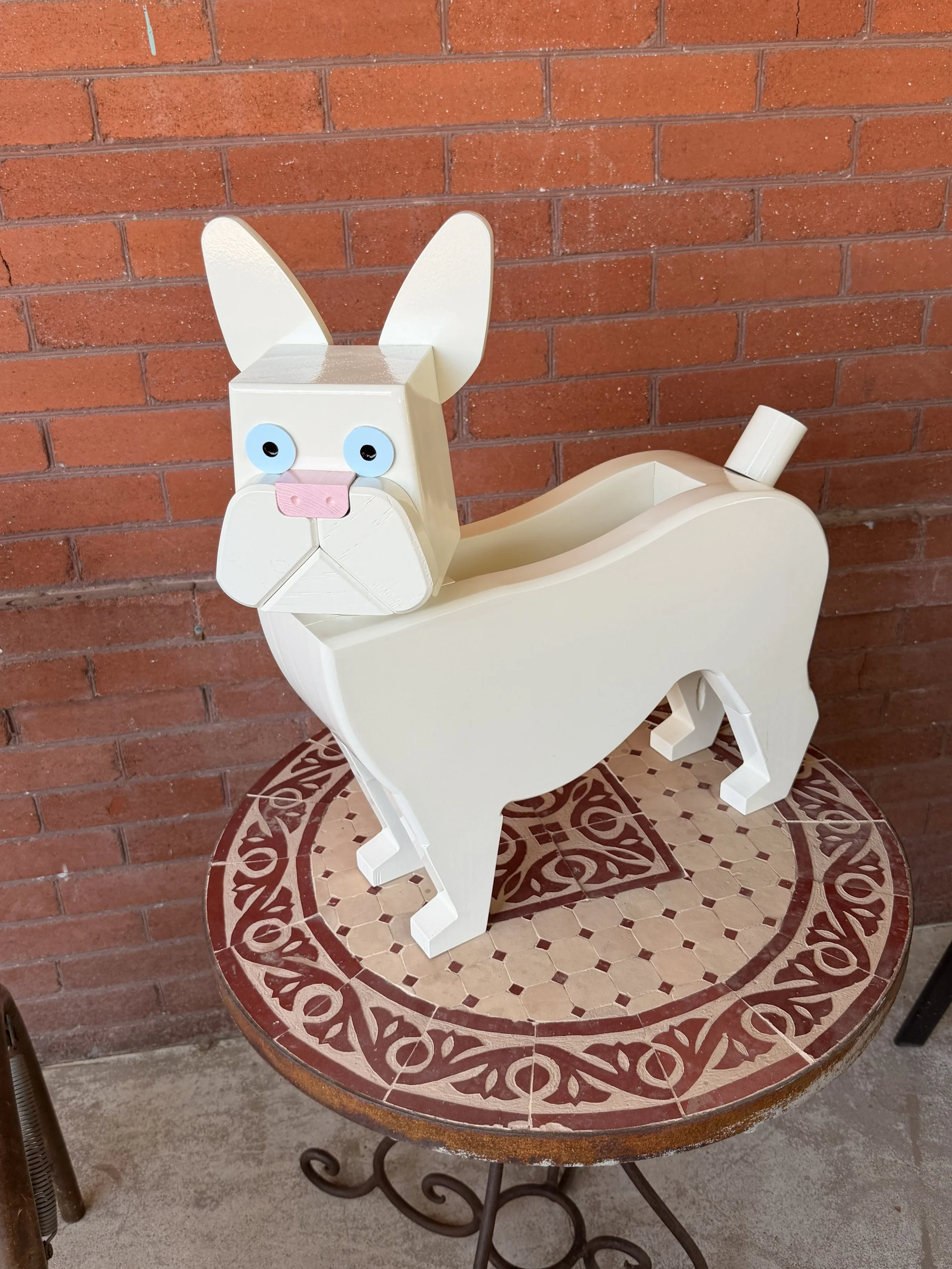 white frenchie.jpeg