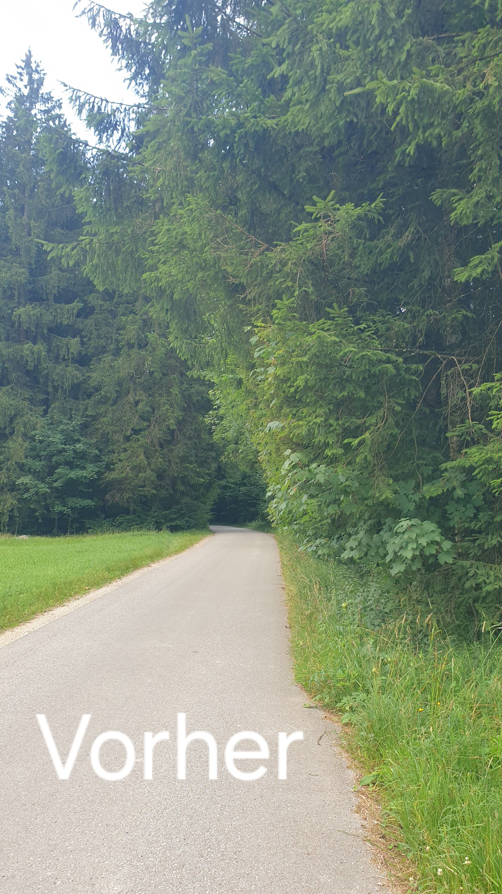 20230717_071417.jpg