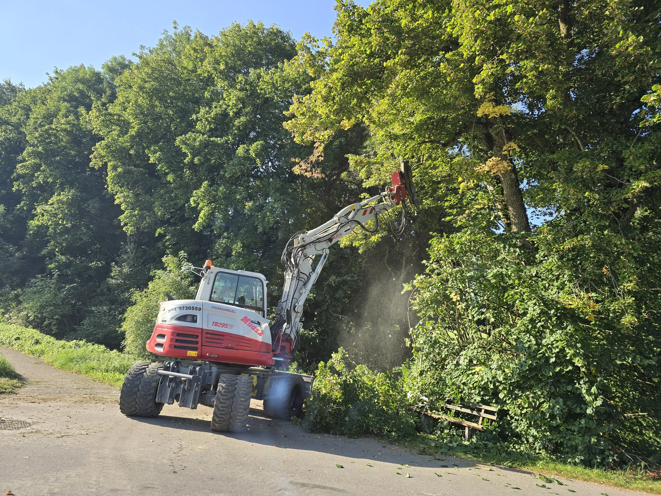 20240904_091012.jpg