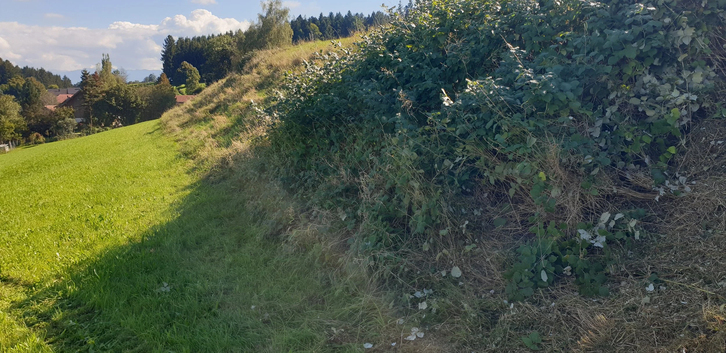 20220922_145255.jpg