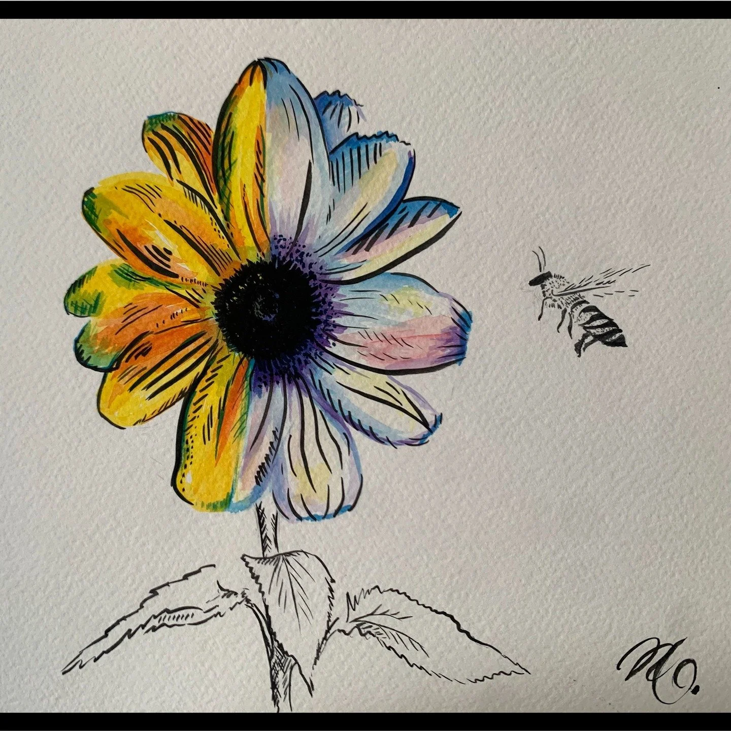 Inspired by the secret world of UV patterning in flowers. Sunflowers are a beautiful example where they have evolved UV pigmentation in their petals which eye-catching to pollinators....Also providing a perfect sample for my exploration into inks.