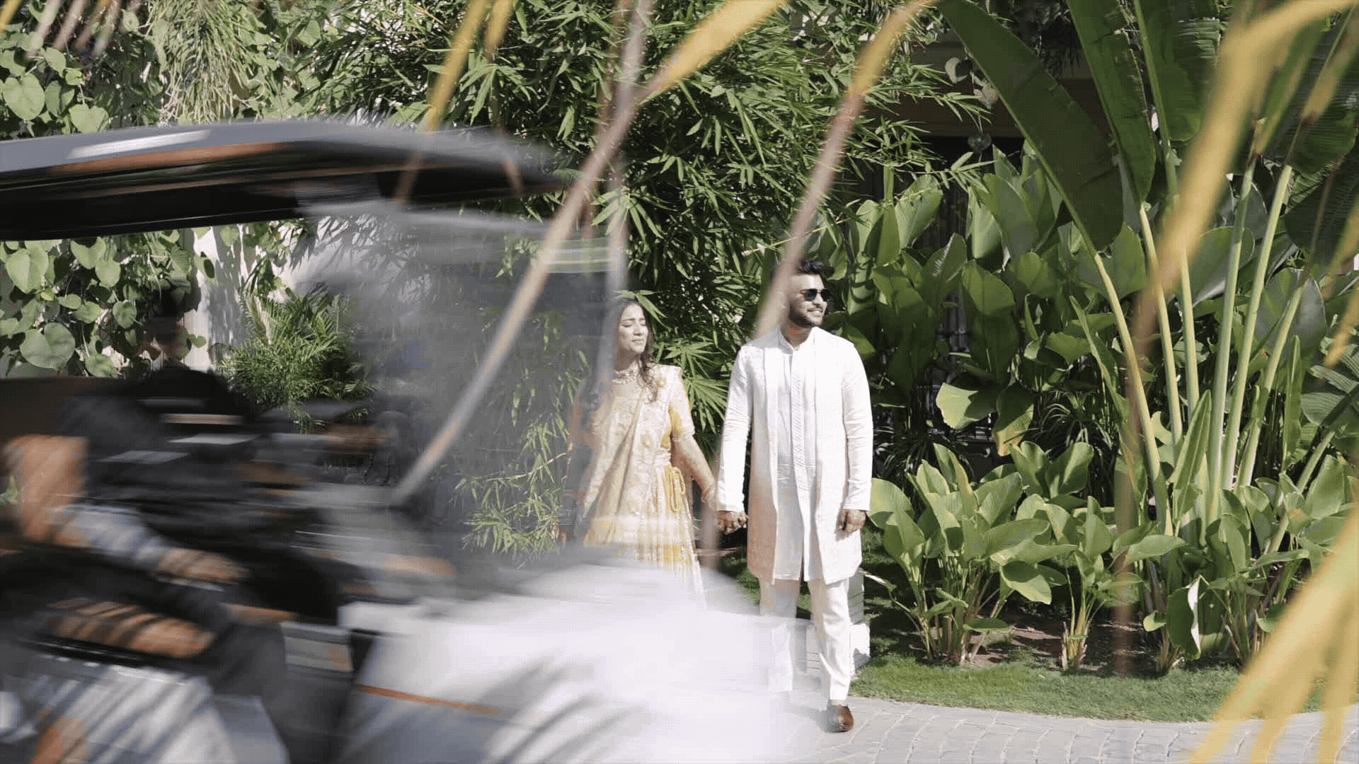 GIF 19.gif