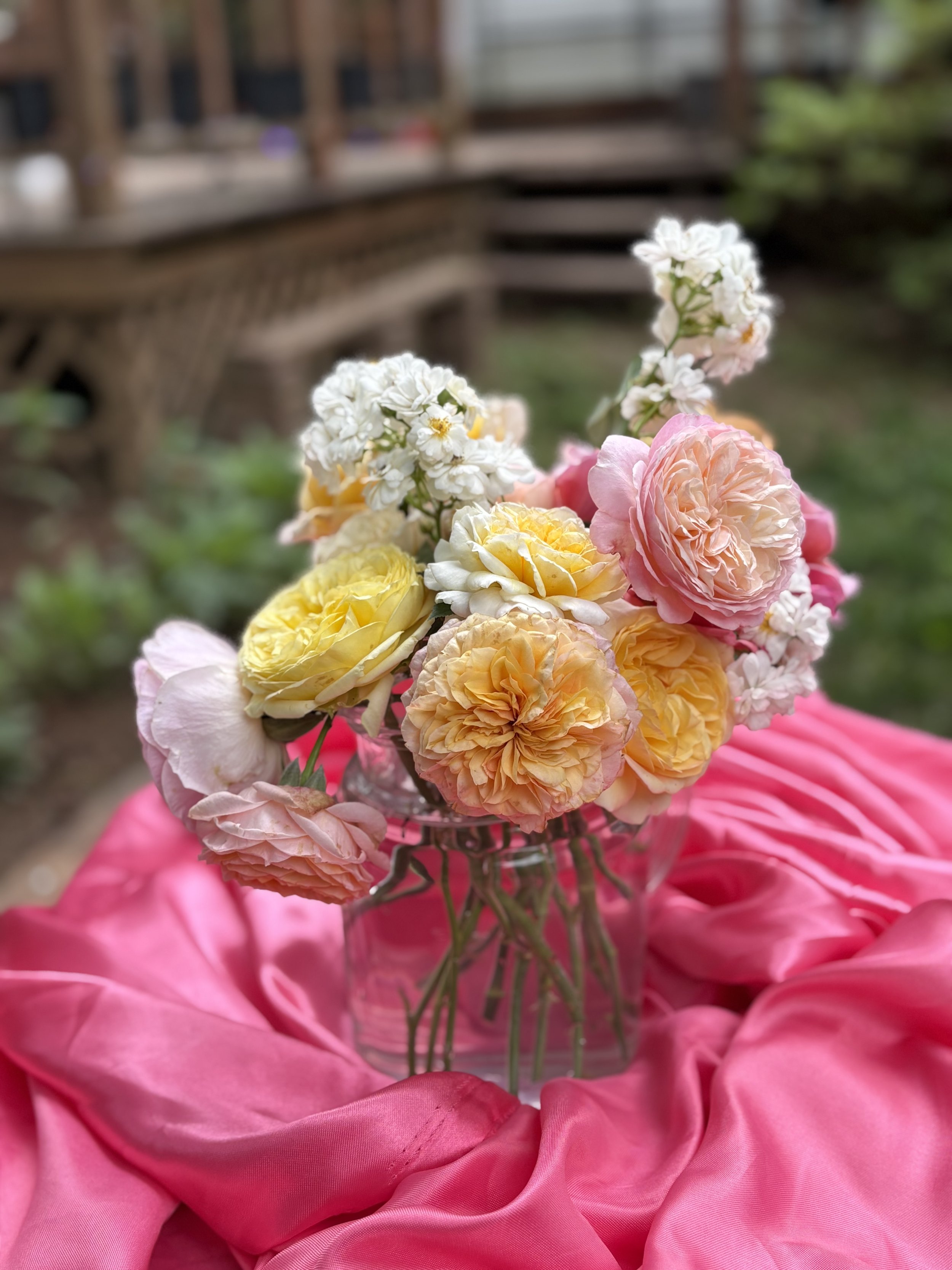 IMG_3269.jpeg