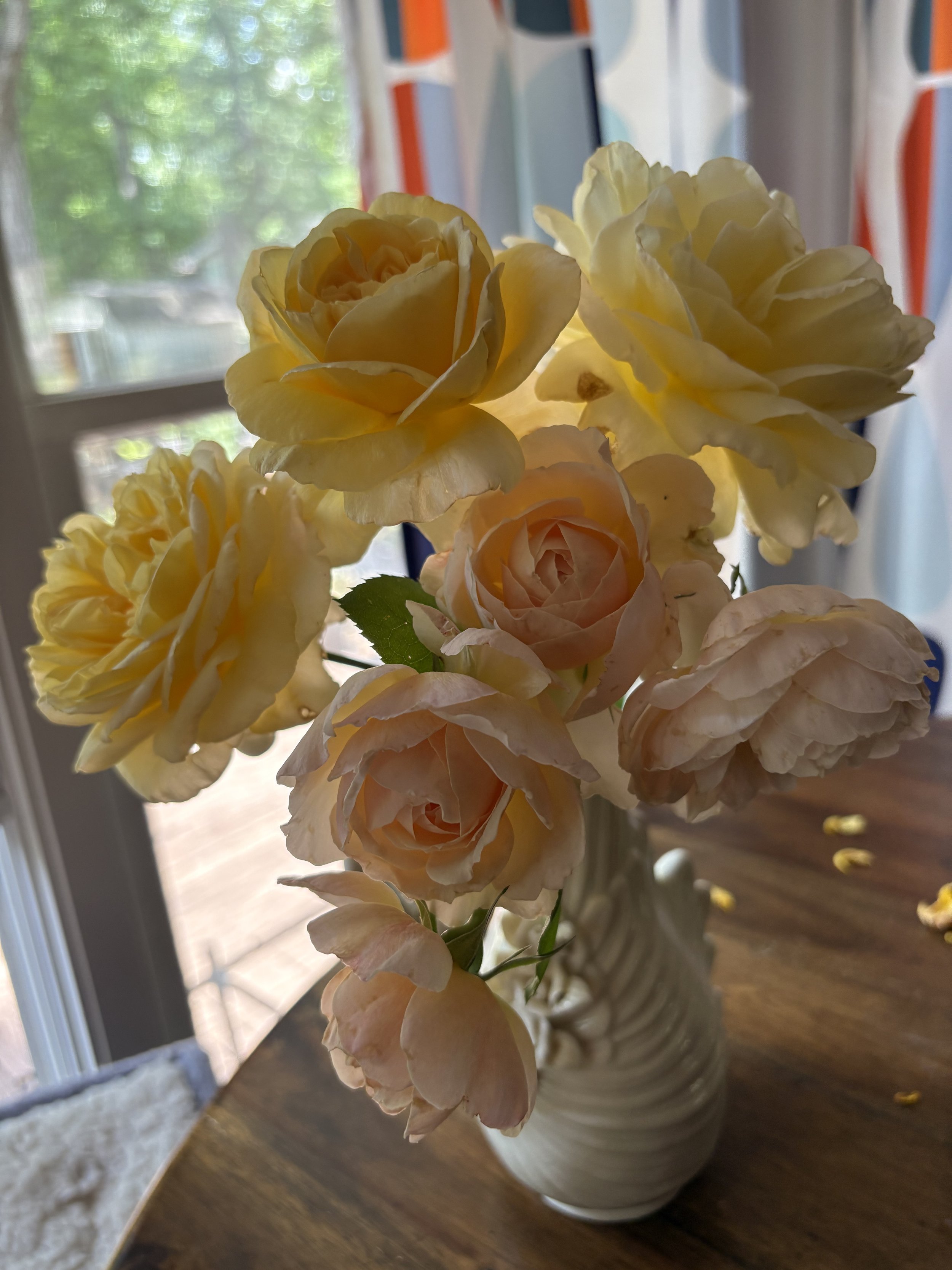 IMG_3203.jpeg