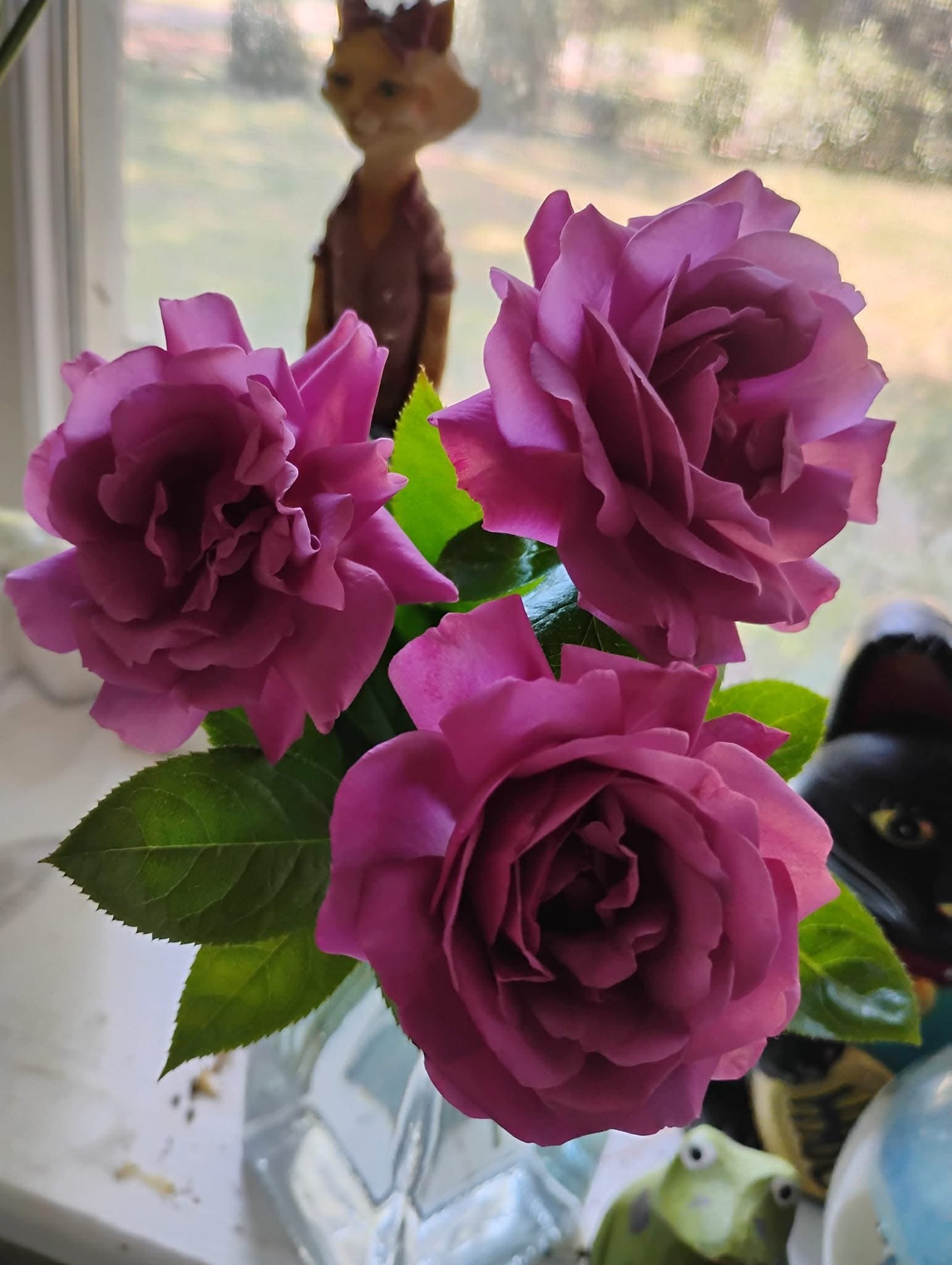 IMG_9670.jpeg