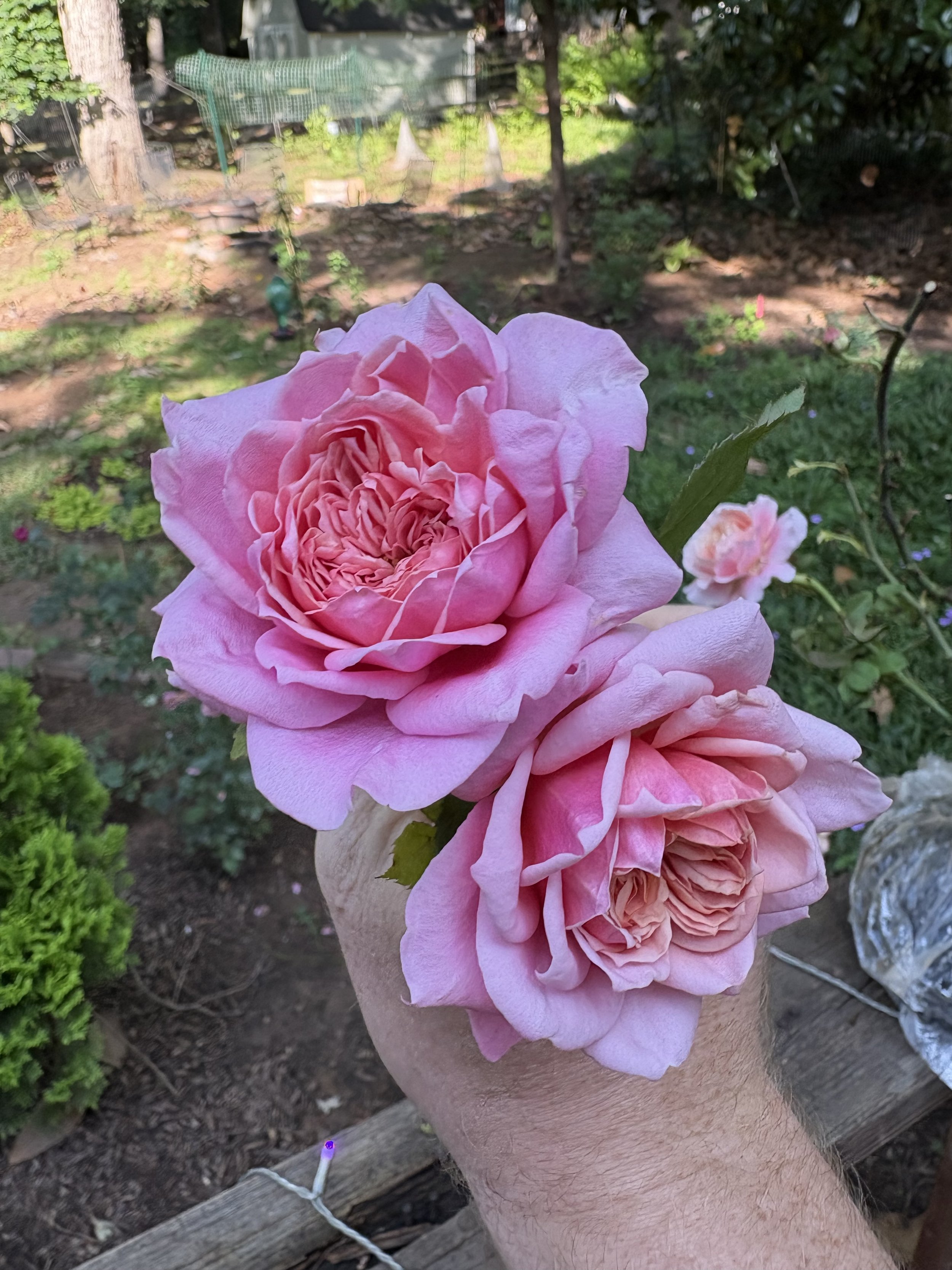 IMG_6018.jpeg