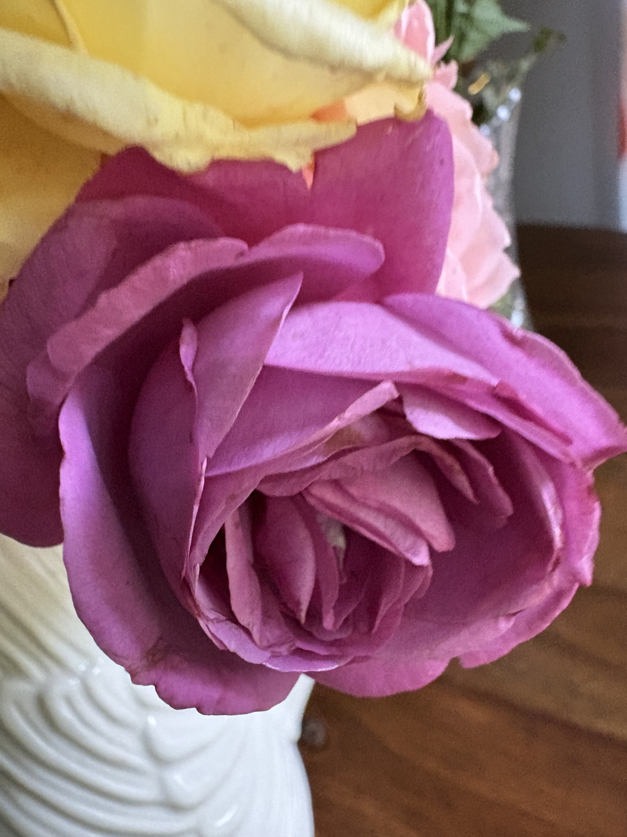 IMG_3995.jpeg