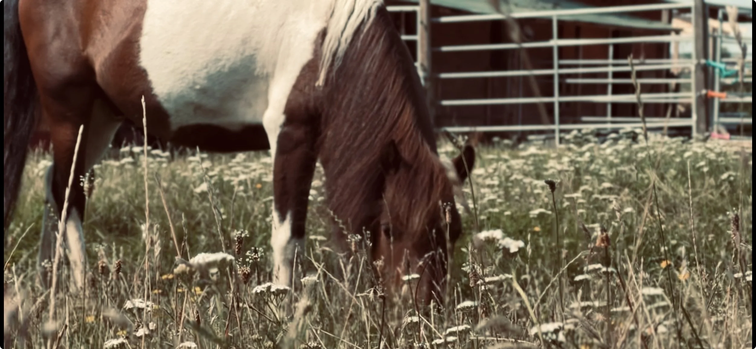 View recent photos.jpeg