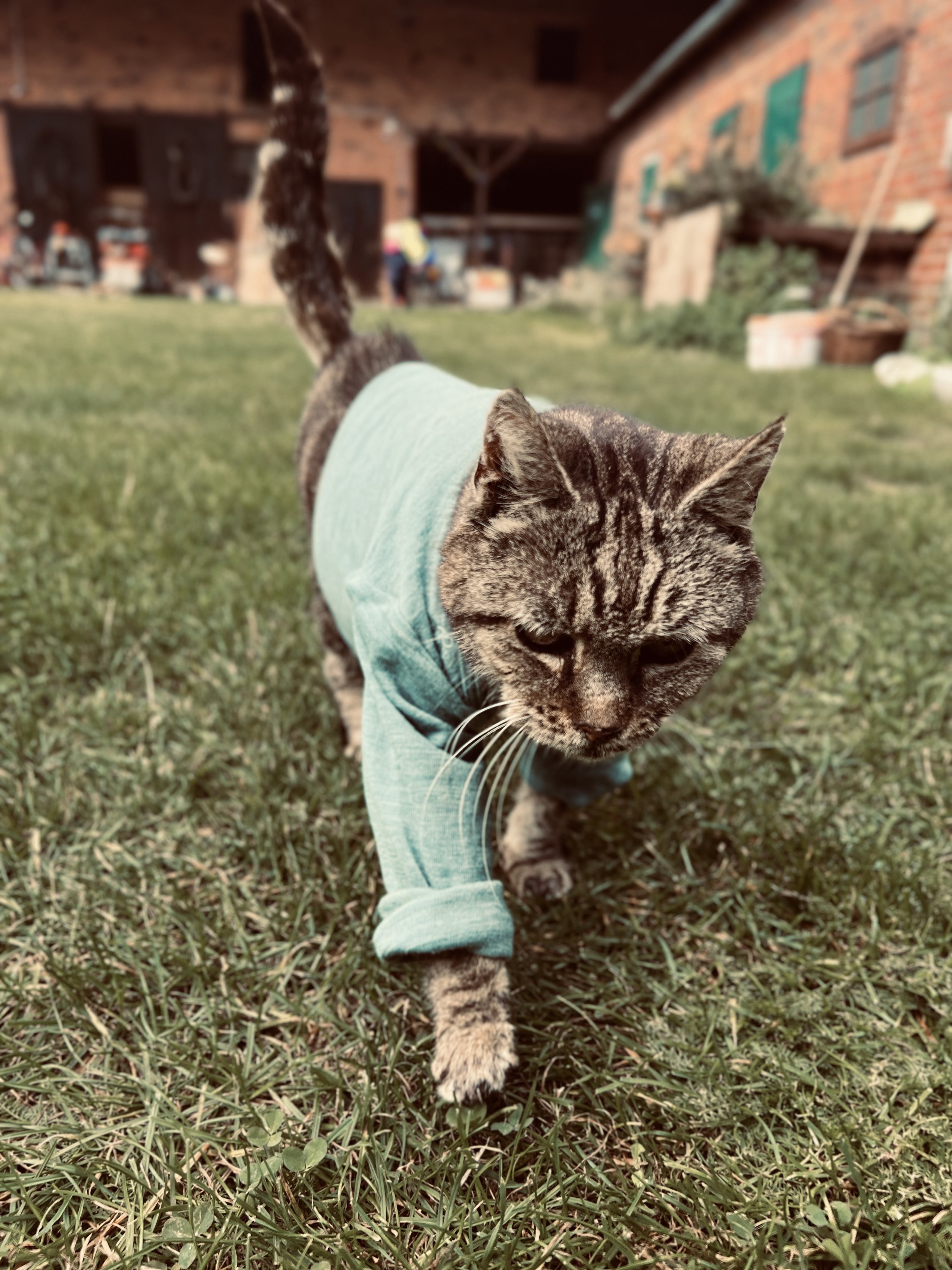 IMG_0268.jpeg