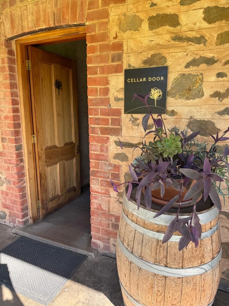 Wooden door open to a cellar, next to a sign reading 'Cellar Door' with a doodle of a wine glass and a tangled line, placed on a rustic stone wall. A potted plant with purple leaves sits on a wooden barrel outside.