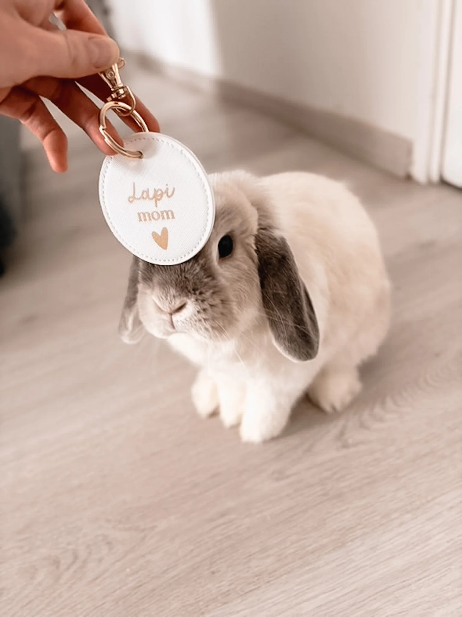 Un lapin blanc et gris avec de longues oreilles grises, assis sur un sol en bois, avec un porte-clés dit 'Lapin mom' suspendu près de sa tête.