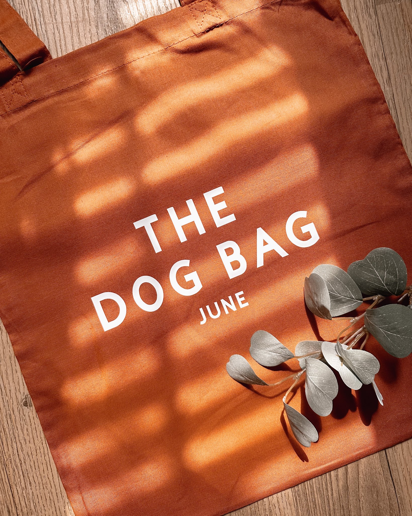 Un sac orange avec l'inscription "The Dog Bag June" et un petit branche de feuilles grises posé dessus.