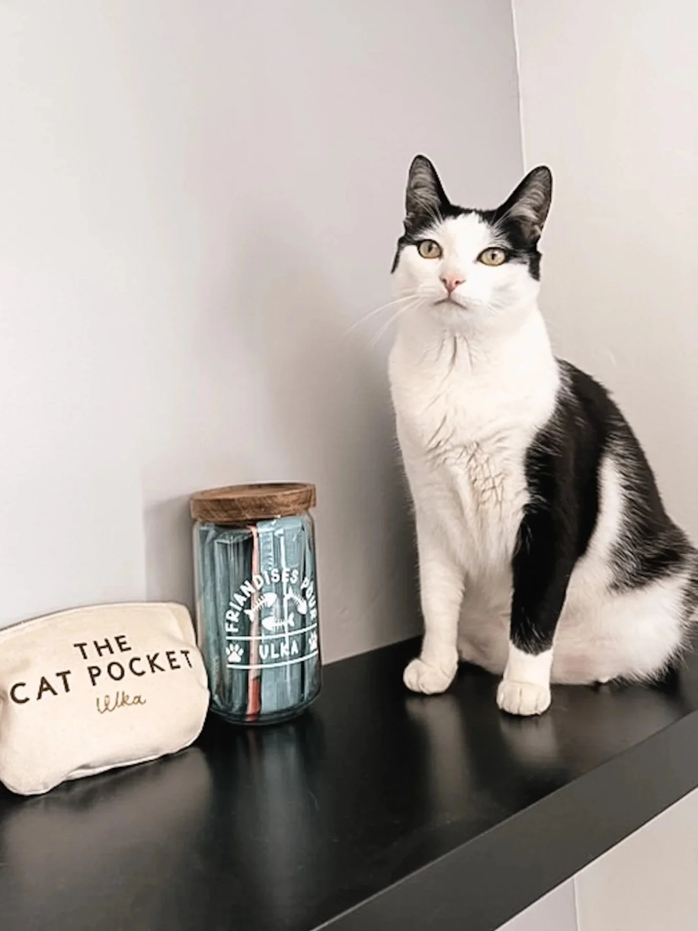 Un chat noir et blanc assis sur une surface noire à côté d'un bocal en verre avec un couvercle en bois et d'une pochette beige portant l'inscription 'The Cat Pocket Wilka'.
