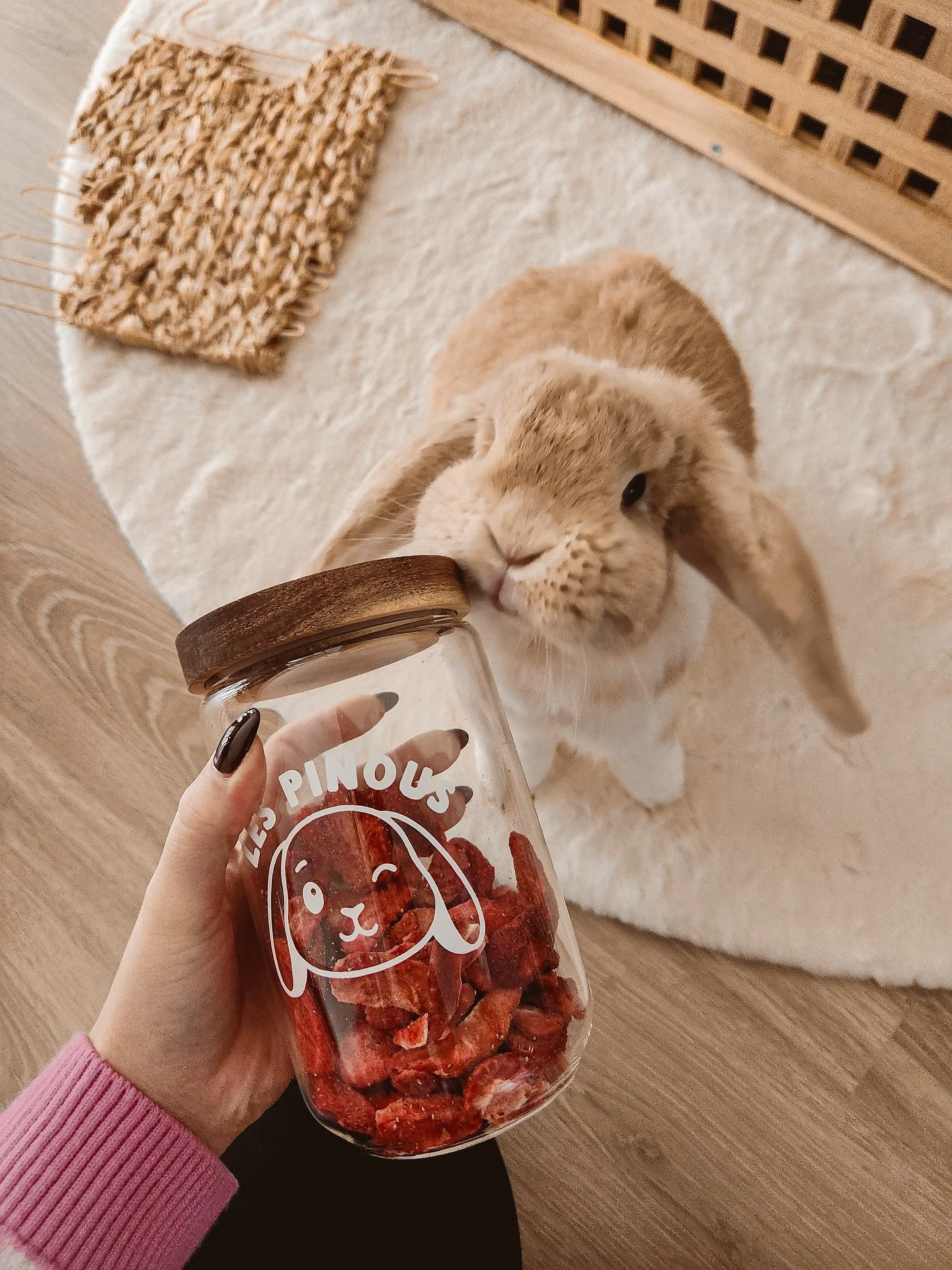 🤎 Est-ce que je fonds d&rsquo;amour ? Litt&eacute;ralement ! 

Le bocal &agrave; friandises personnalis&eacute; est s&ucirc;rement l&rsquo;un des articles phares de la boutique 🤩 ! D&eacute;clinable pour chien, chat et &eacute;videmment lapin, c&rs