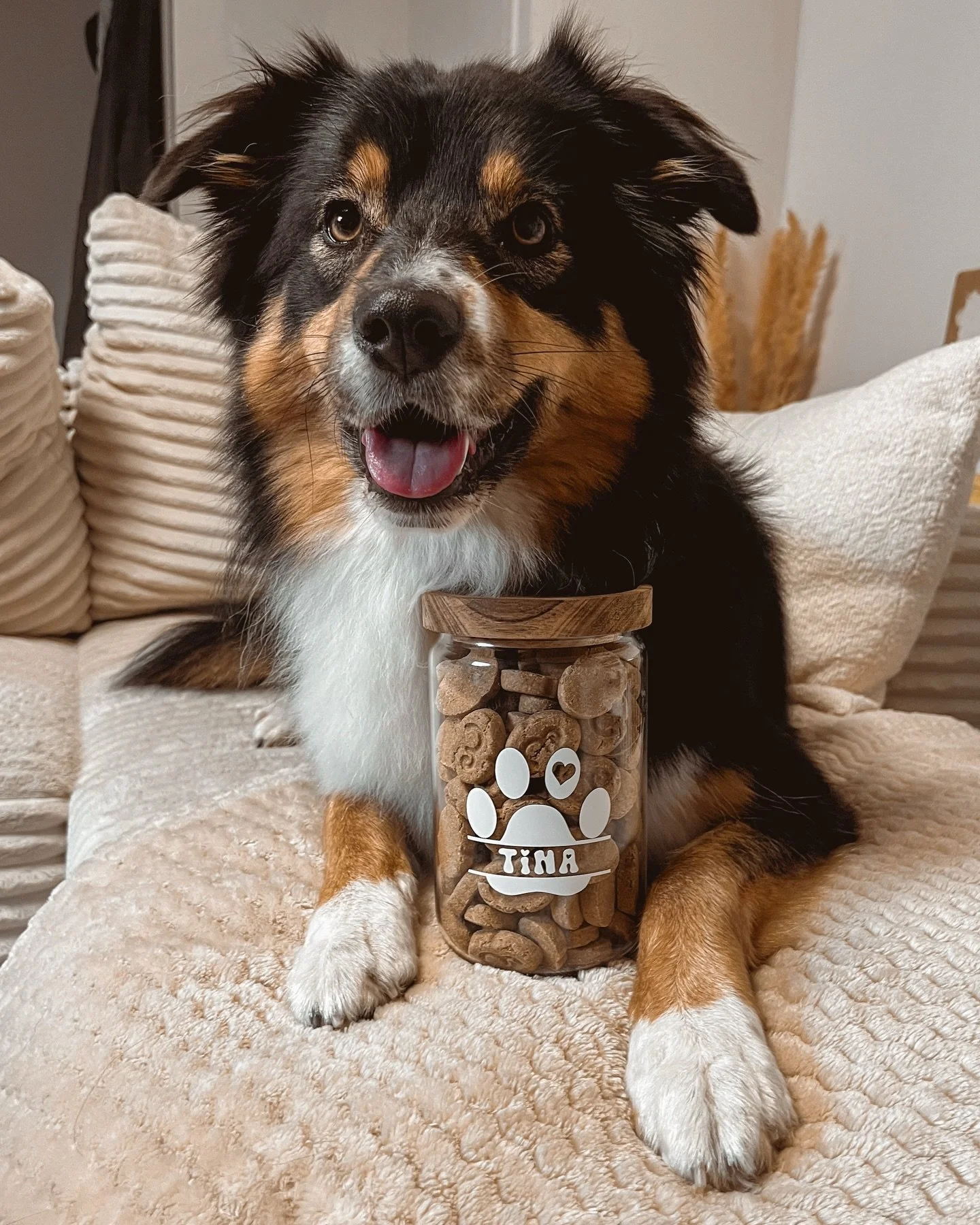 🫙🤍 La belle @tina_aria_ avec son bocal &agrave; friandises personnalis&eacute;.

#bocal&agrave;friandises #personnalisation #instapet #dog #id&eacute;ecadeau