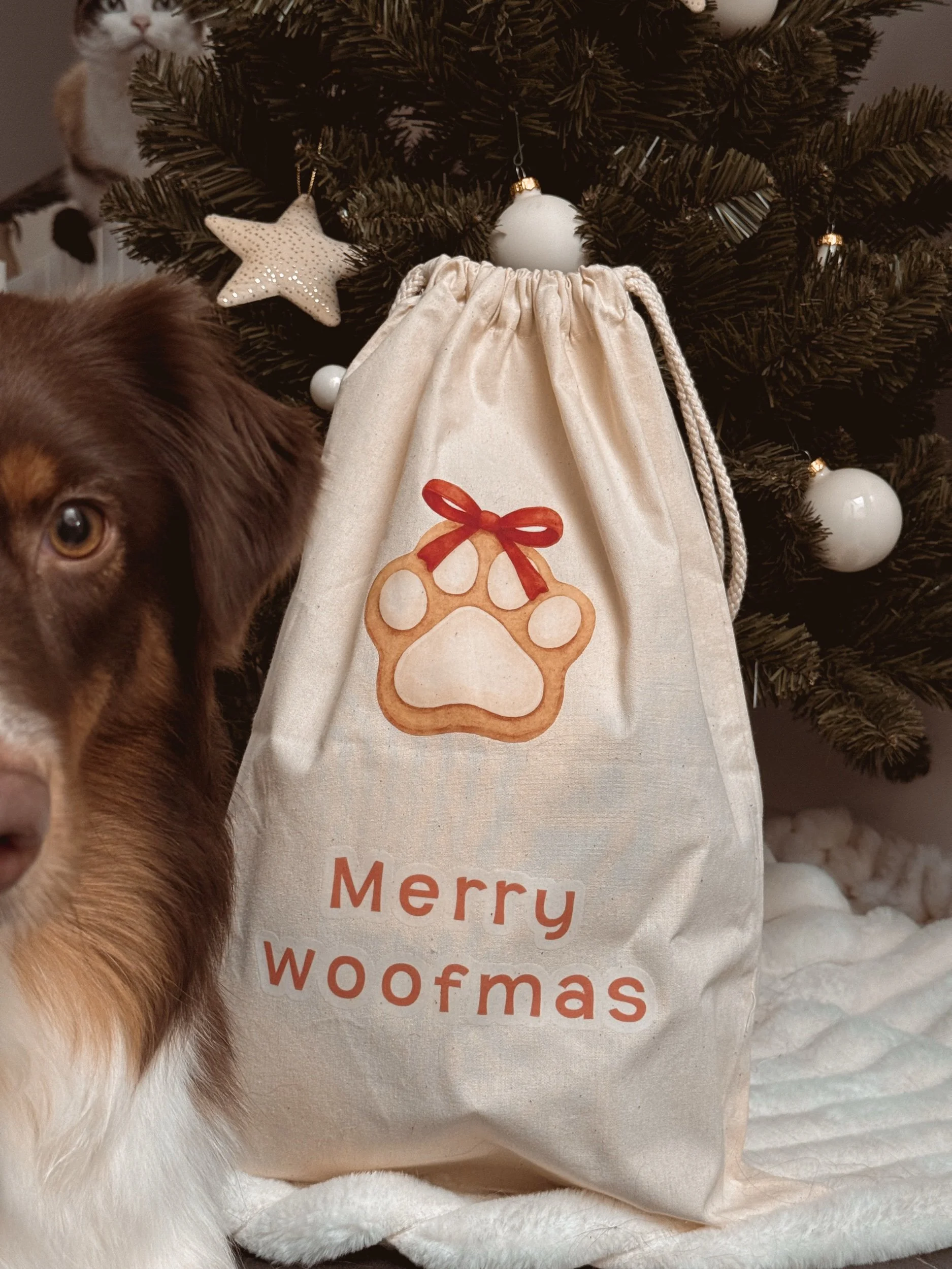 Hotte de Noël ⋮ Patte de Noël