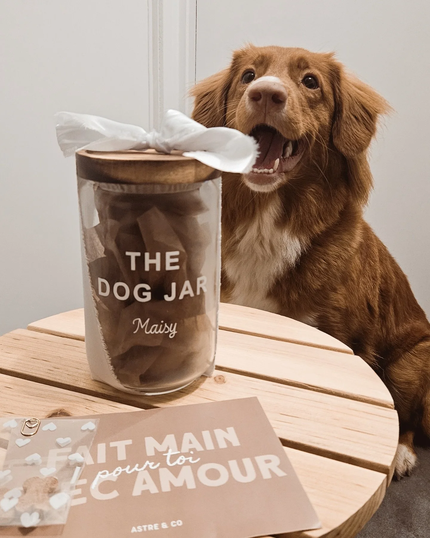 🫙 La belle @maisy_the_toller et son bocal &agrave; friandises personnalis&eacute; rien que pour elle !

#smallbusiness #bocal&agrave;friandises #id&eacute;ecadeau #instapet #christmas2025