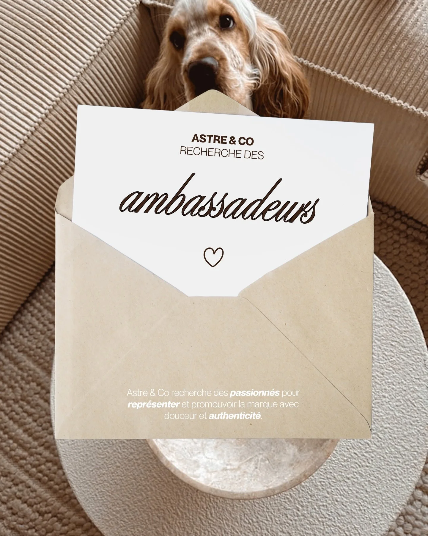 🤍 RECHERCHE AMBASSADEURS

Aujourd&rsquo;hui, j&rsquo;ai envie de faire grandir la marque autrement&hellip; et surtout avec vous !

📢 Je suis &agrave; la recherche de nouvelles personnes pour rejoindre l&rsquo;aventure en tant qu&rsquo;ambassadeur/a