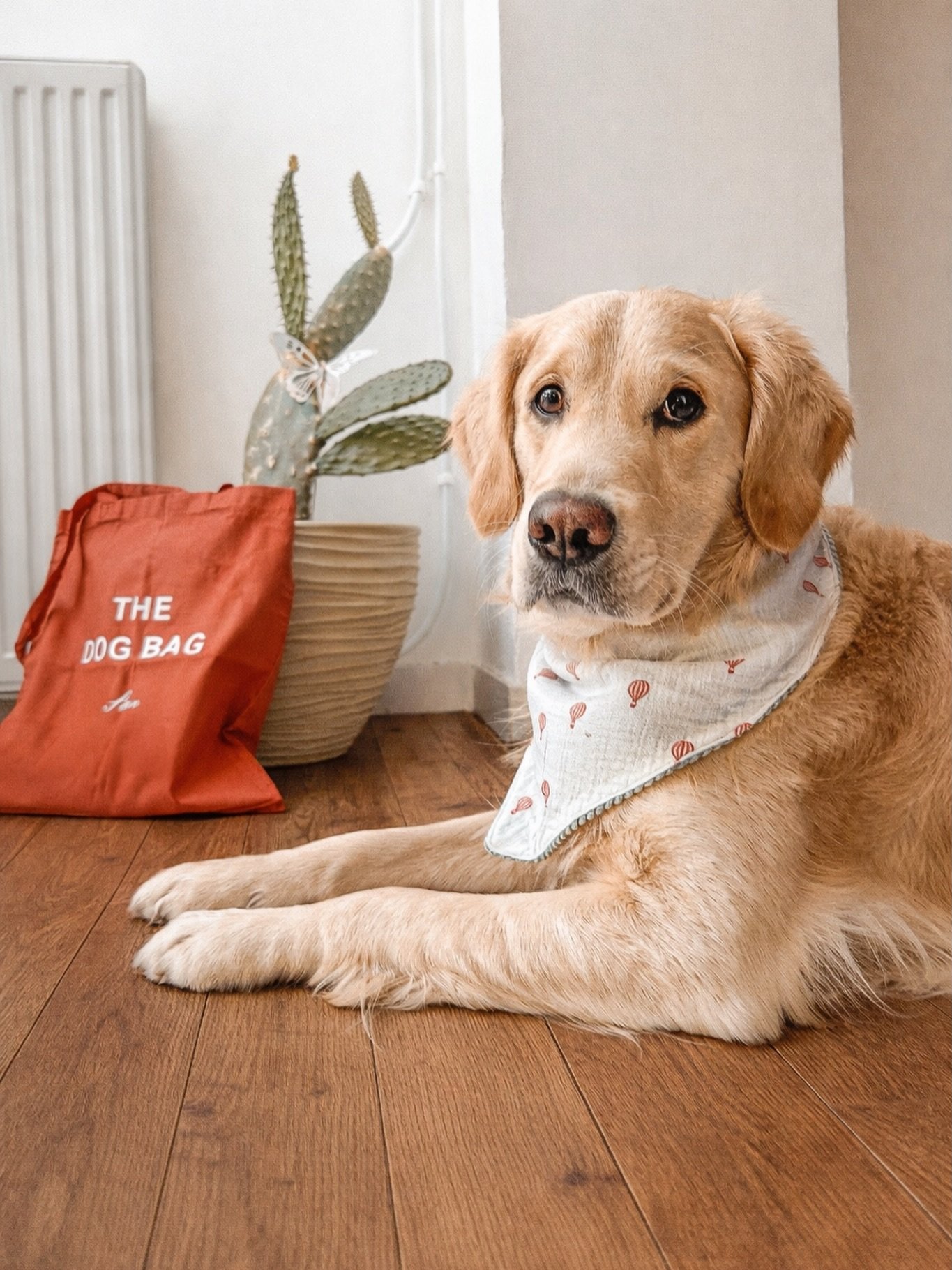 🐶 @stan_legolden nous pr&eacute;sente le joli sac personnalis&eacute; de sa dogmom. N&rsquo;est-il pas magnifique (est-ce que je parle du sac, ou est-ce que je parle de Stan ? Myst&egrave;re 🤫)

#smallbusiness #totebag #id&eacute;ecadeau #instapet 