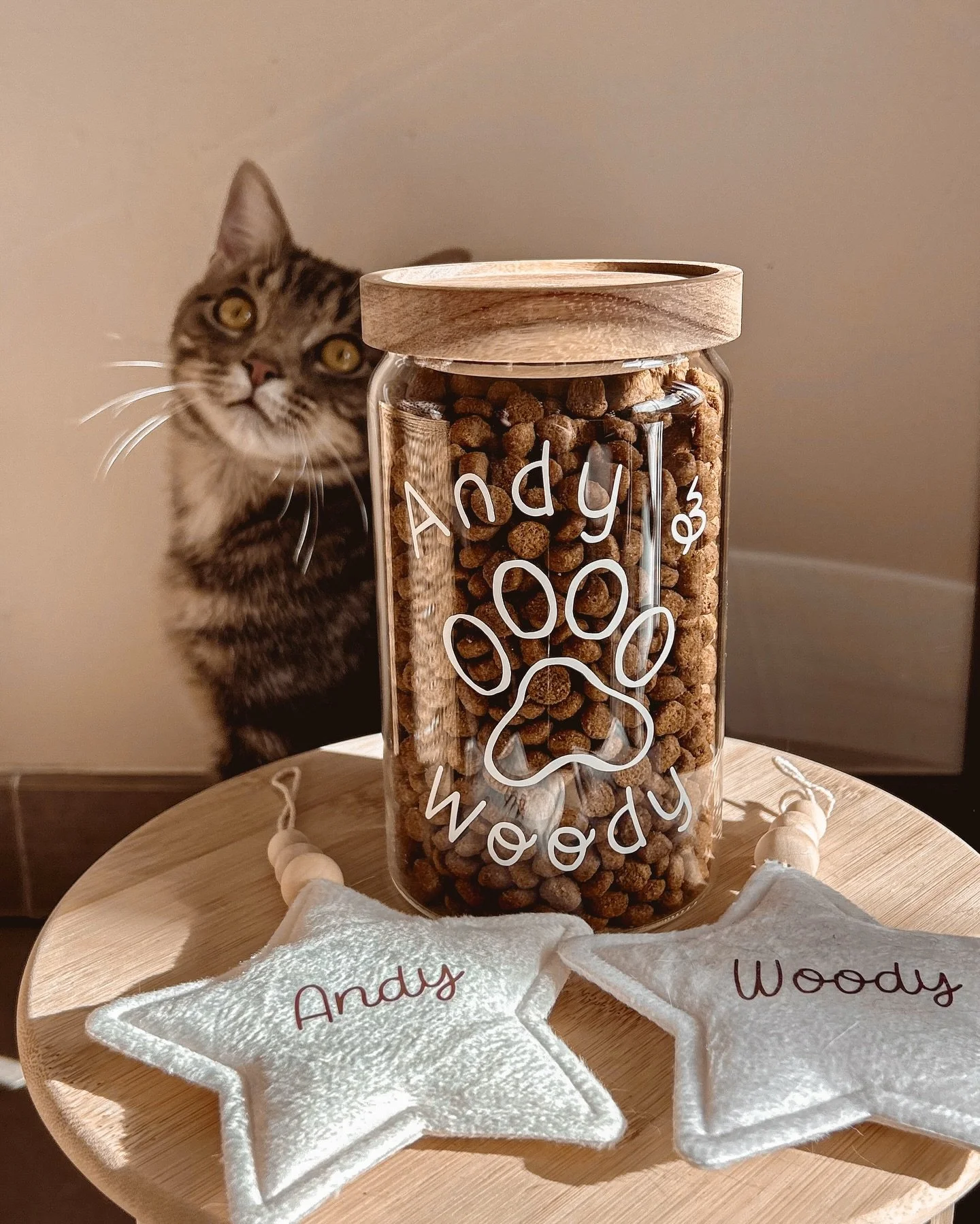 🫙 Ce bocal &agrave; friandises personnalis&eacute; &agrave; trouver son nouveau foyer pour la vie (📷 @catsandywoody) et il est accompagn&eacute; de deux belles &eacute;toiles personnalis&eacute;es.

#smallbusiness #bocal&agrave;friandises #cr&eacut
