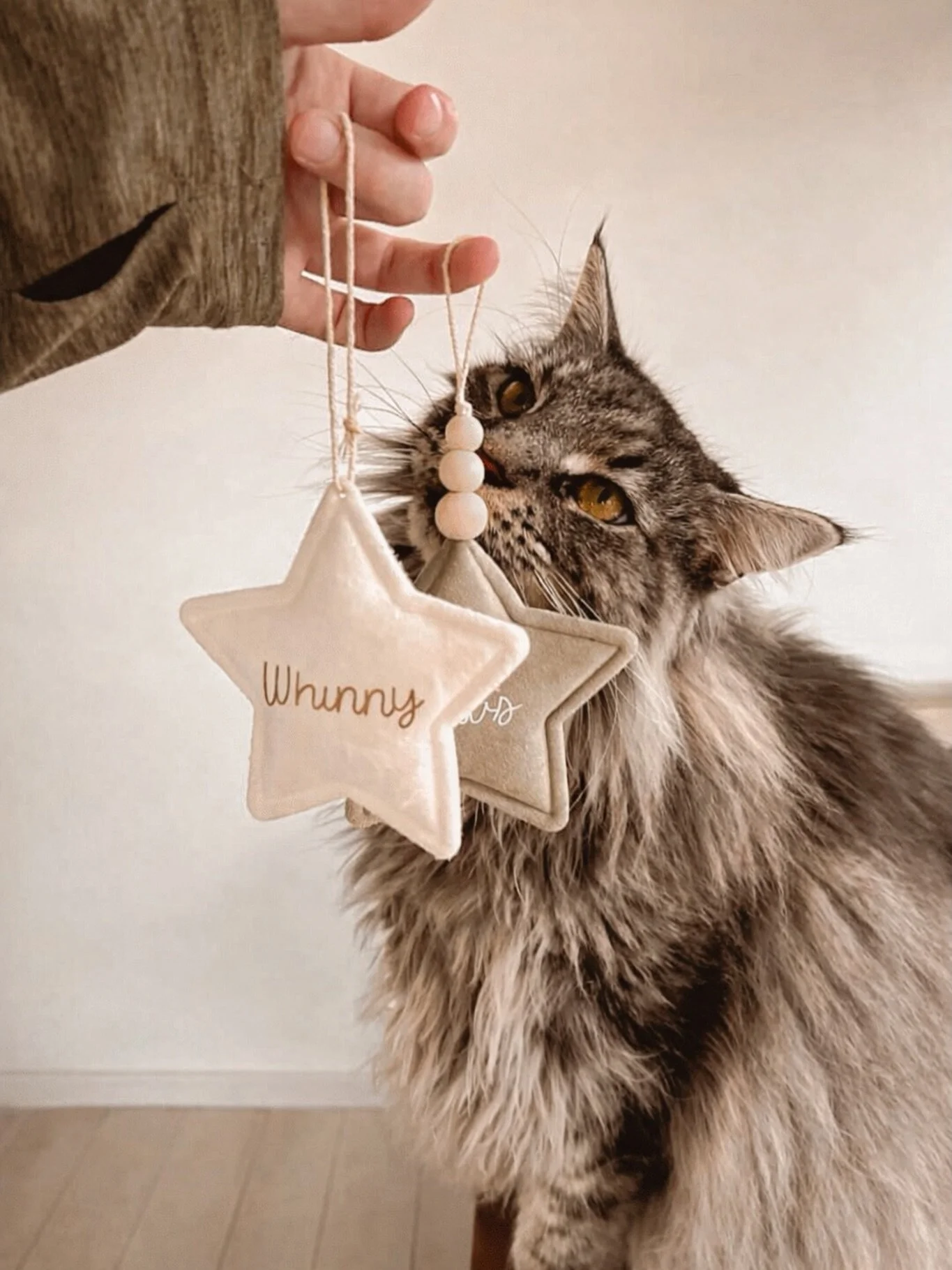 ⭐️ Les belles &eacute;toiles personnalis&eacute;es, pr&eacute;sent&eacute;es par notre amie @whinnypaws_family

Une petite pi&egrave;ce minimaliste, l&eacute;g&egrave;re et &eacute;l&eacute;gante, parfaite pour ajouter une touche douce et personnelle