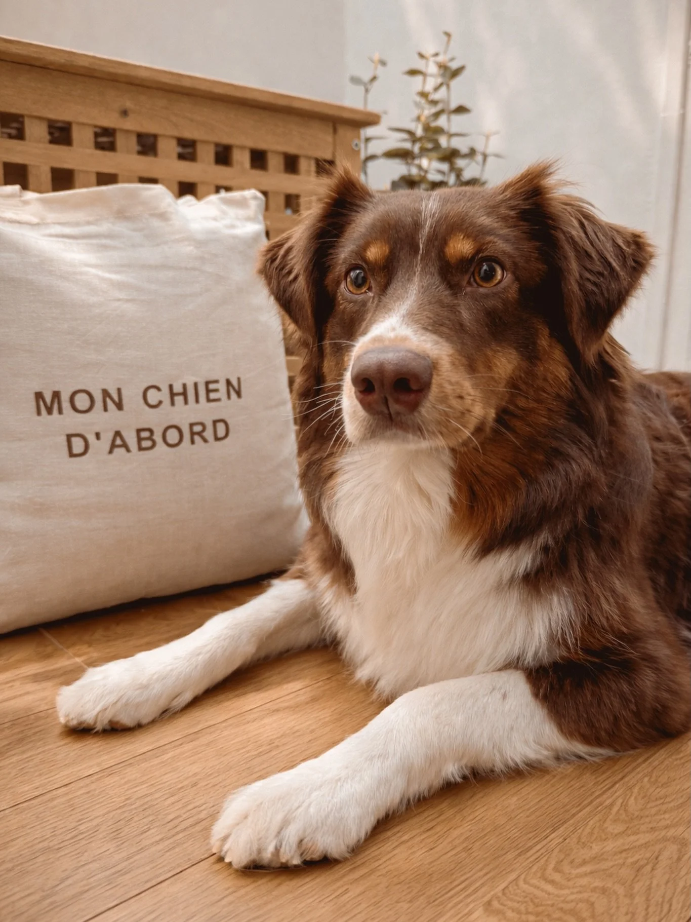 🤍 Le tote bag, indispensable au quotidien.

Allier praticit&eacute; et &eacute;l&eacute;gance n&rsquo;a jamais &eacute;t&eacute; aussi simple avec ce sac en coton durable !

L&eacute;ger mais robuste, il vous accompagne dans toutes vos aventures : q