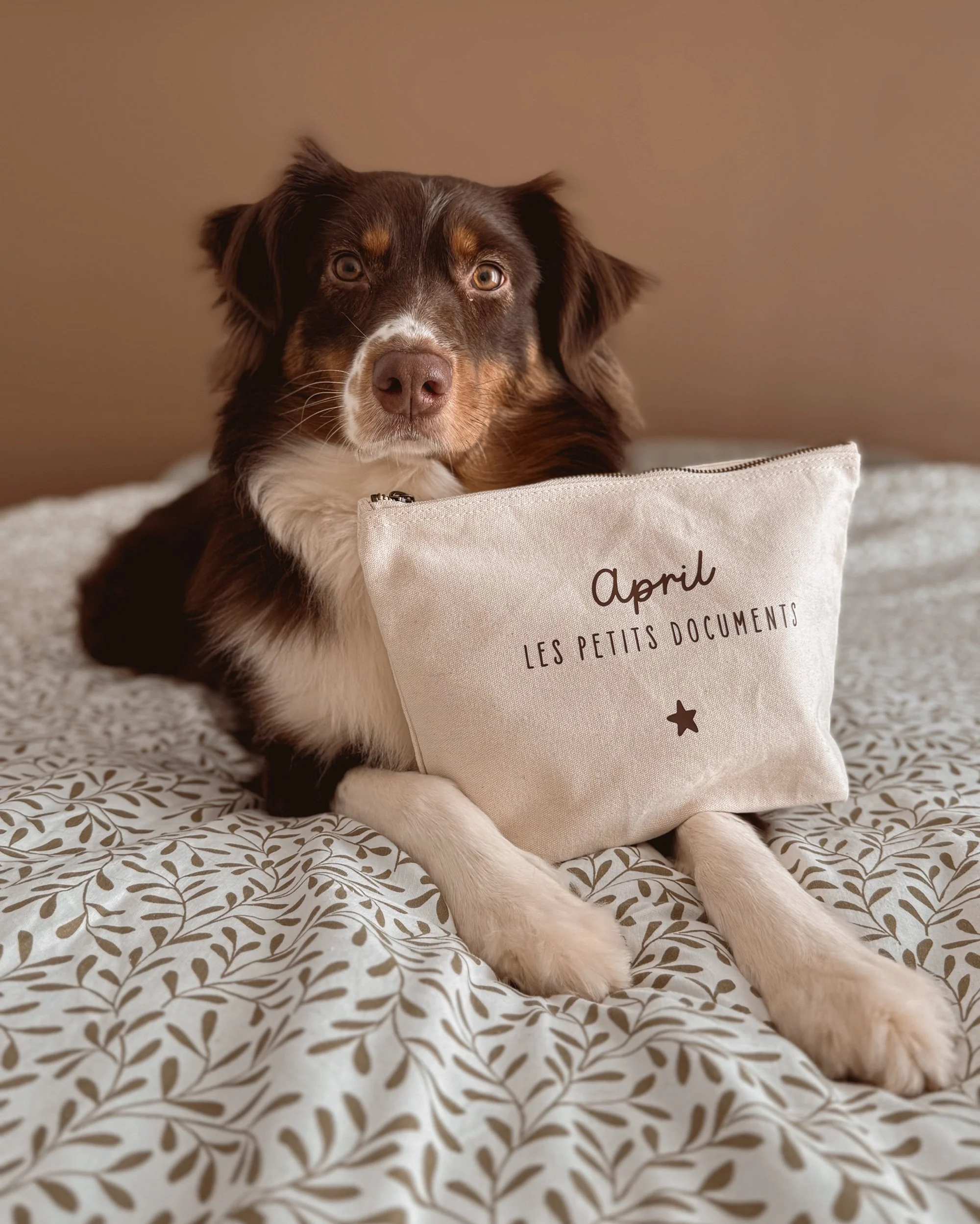 Trousse ⋮ Les petits documents