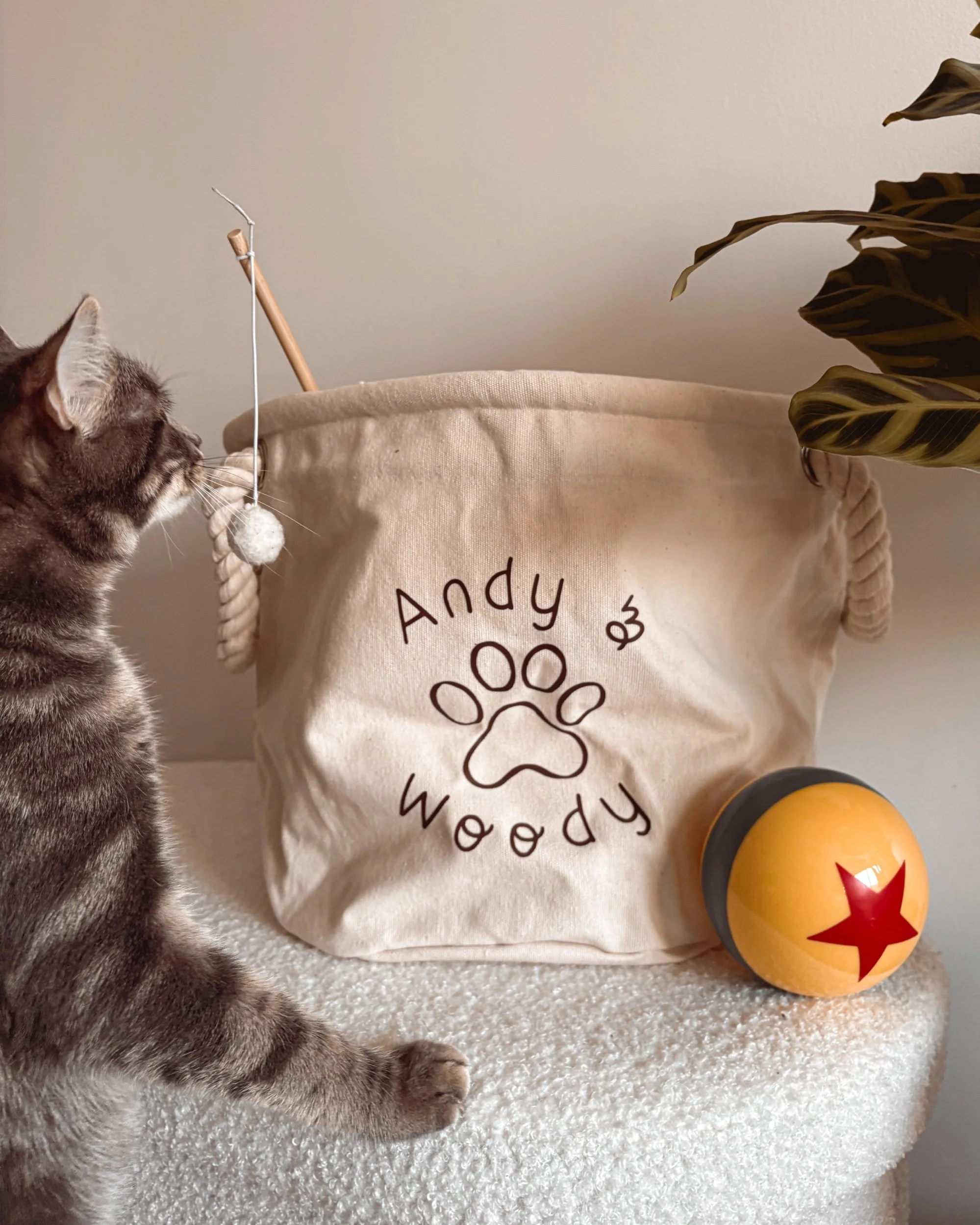 Panier à jouets ⋮ Petite patte - À personnaliser