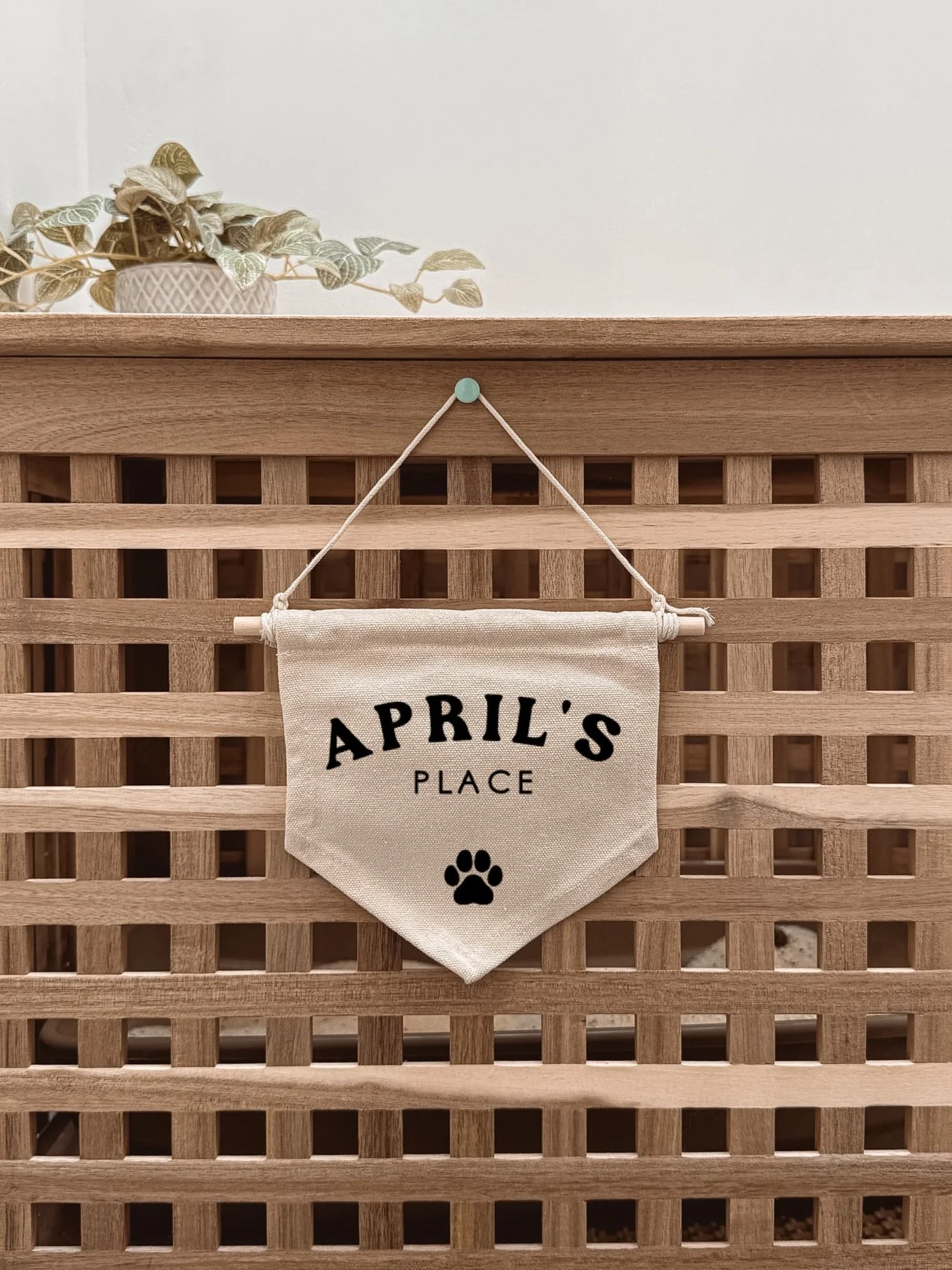 👀 La nouvelle collection arrive tr&egrave;s prochainement&hellip; Ce n&rsquo;est plus qu&rsquo;une question de jours !

#nouvellecollection #smallbusiness #inspet #cat #dog