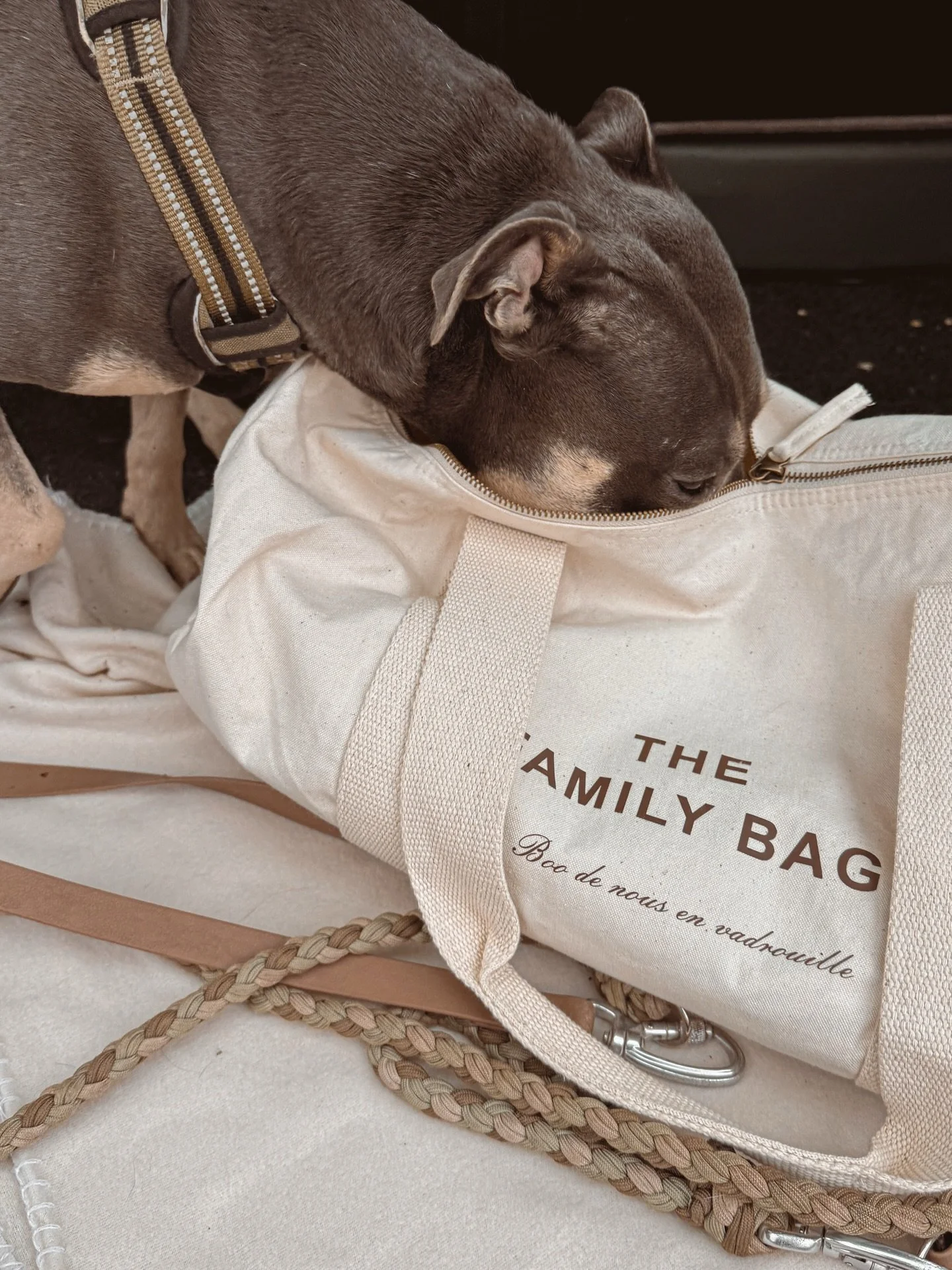 🧳 Sac polochon

Joyeux week-end de P&acirc;ques 🐣 ! Un week-end de pr&eacute;vu ? Une promenade en famille ? N&rsquo;oubliez pas d&rsquo;emporter toutes vos petites affaires dans votre sac de voyage personnalis&eacute; !

🔗 www.astreandco.com

#p&