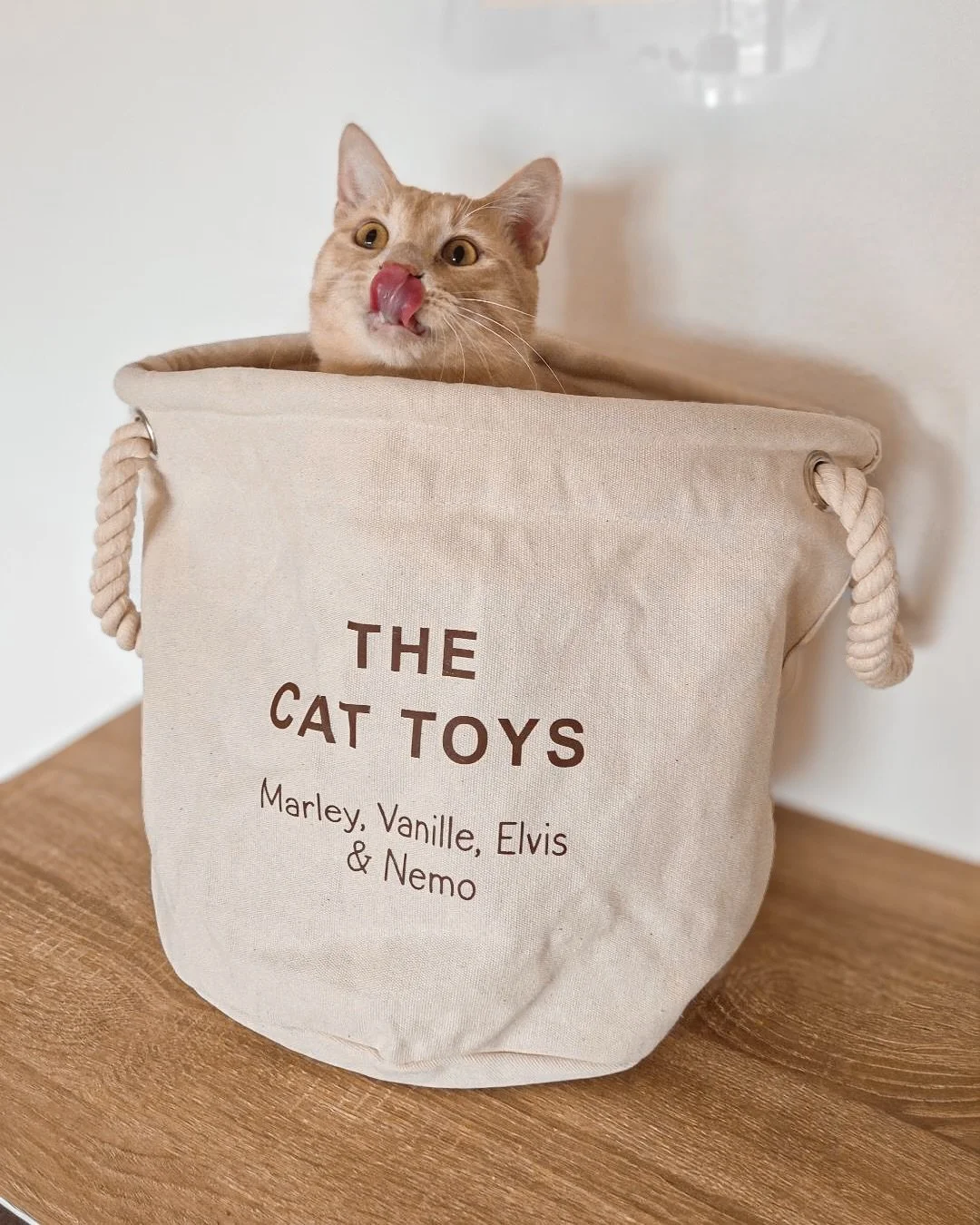 🧺 Un panier aussi mignon que pratique.

Parce que leurs jouets m&eacute;ritent aussi leur petit cocon 🧸. Que ce soit pour ton animal ou pour un enfant, ce panier s&rsquo;adapte &agrave; tous les univers et &agrave; tous les pr&eacute;noms.

Minimal