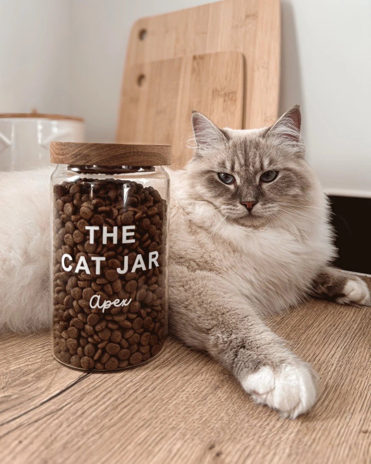 Le garde-manger est sous haute surveillance aujourd&rsquo;hui&hellip; 👀 et visiblement, quelqu&rsquo;un attend l&rsquo;heure des friandises avec impatience.

🫙 Avec un bocal personnalis&eacute; au pr&eacute;nom de ton compagnon, impossible de se tr