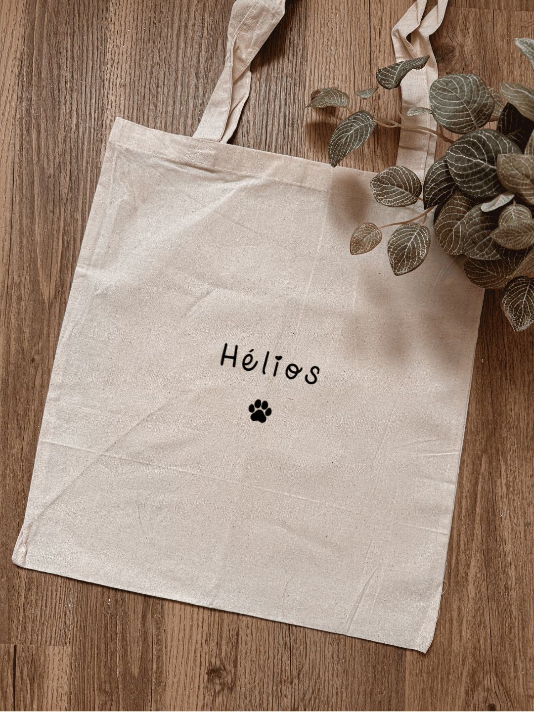 Modèle de template de tote bag.png