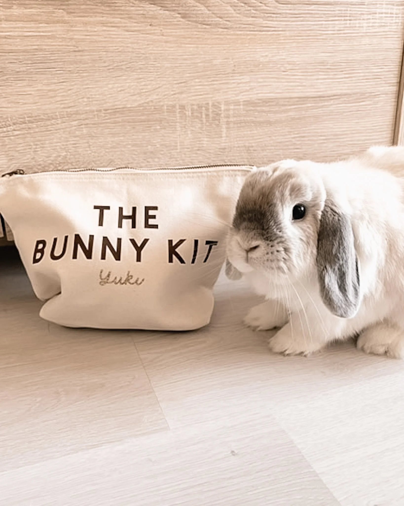Un lapin blanc avec des oreilles grises à côté d'un sac en toile blanc portant l'inscription 'The Bunny Kit' et le nom 'Yuki' écrit dessous.