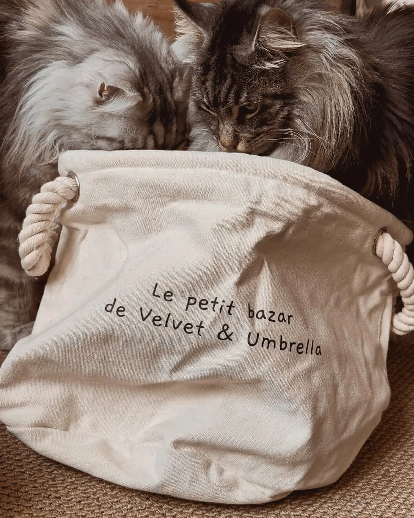 ACBBFC81-B67D-4CC3-9628-047345C1F441 3.jpg