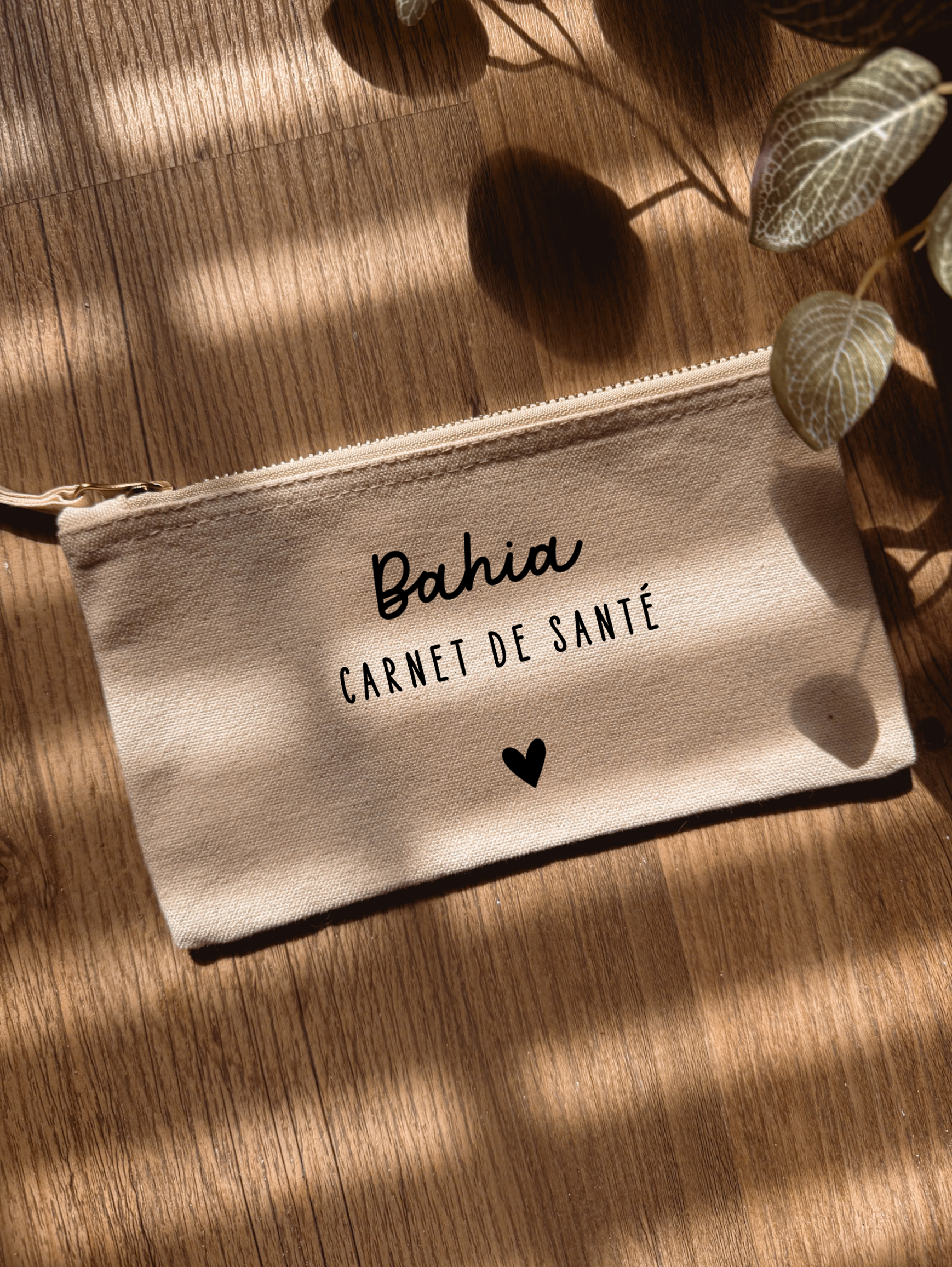 Trousse plate ⋮ Carnet de santé