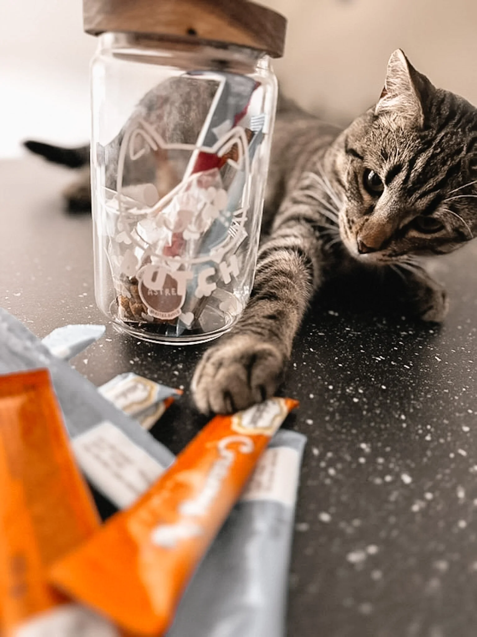 Un chat gris tacheté étiré sur une surface sombre avec des morceaux de nourriture emballée orange devant lui et un bocal en verre rempli de bonbons derrière.