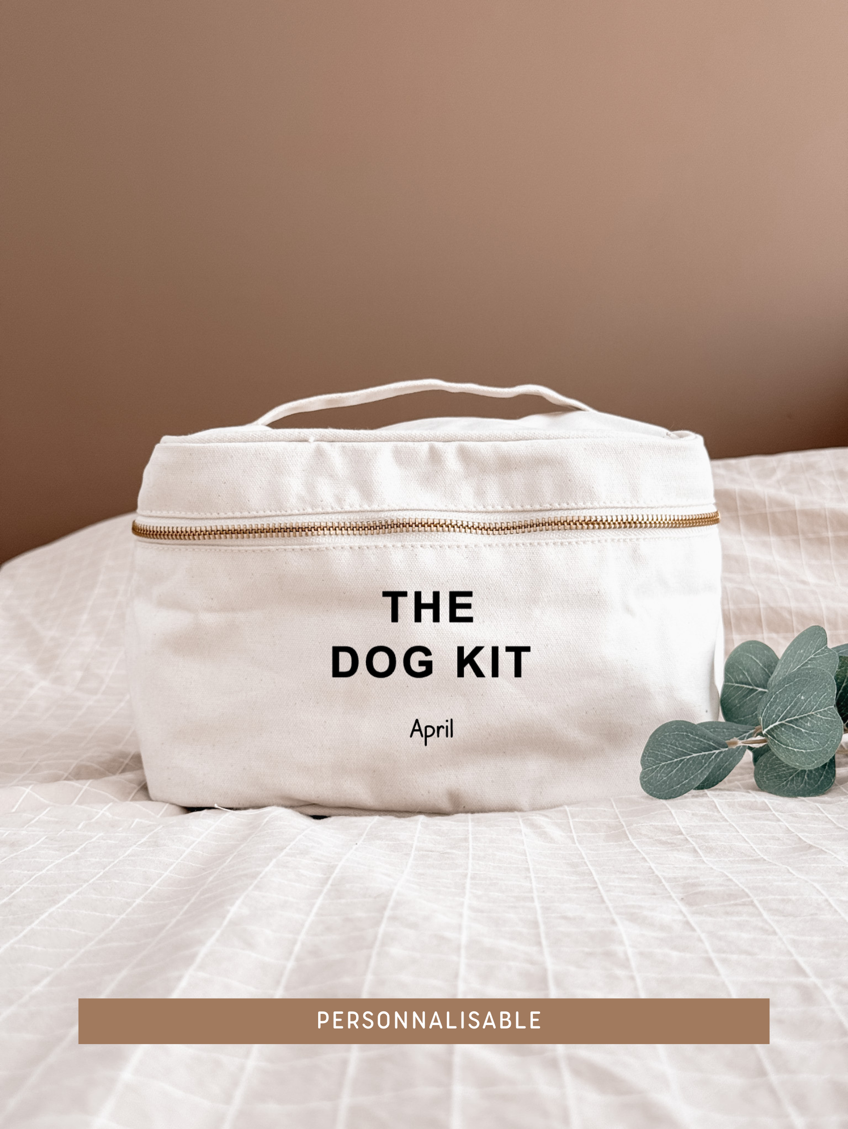 The dog kit.png