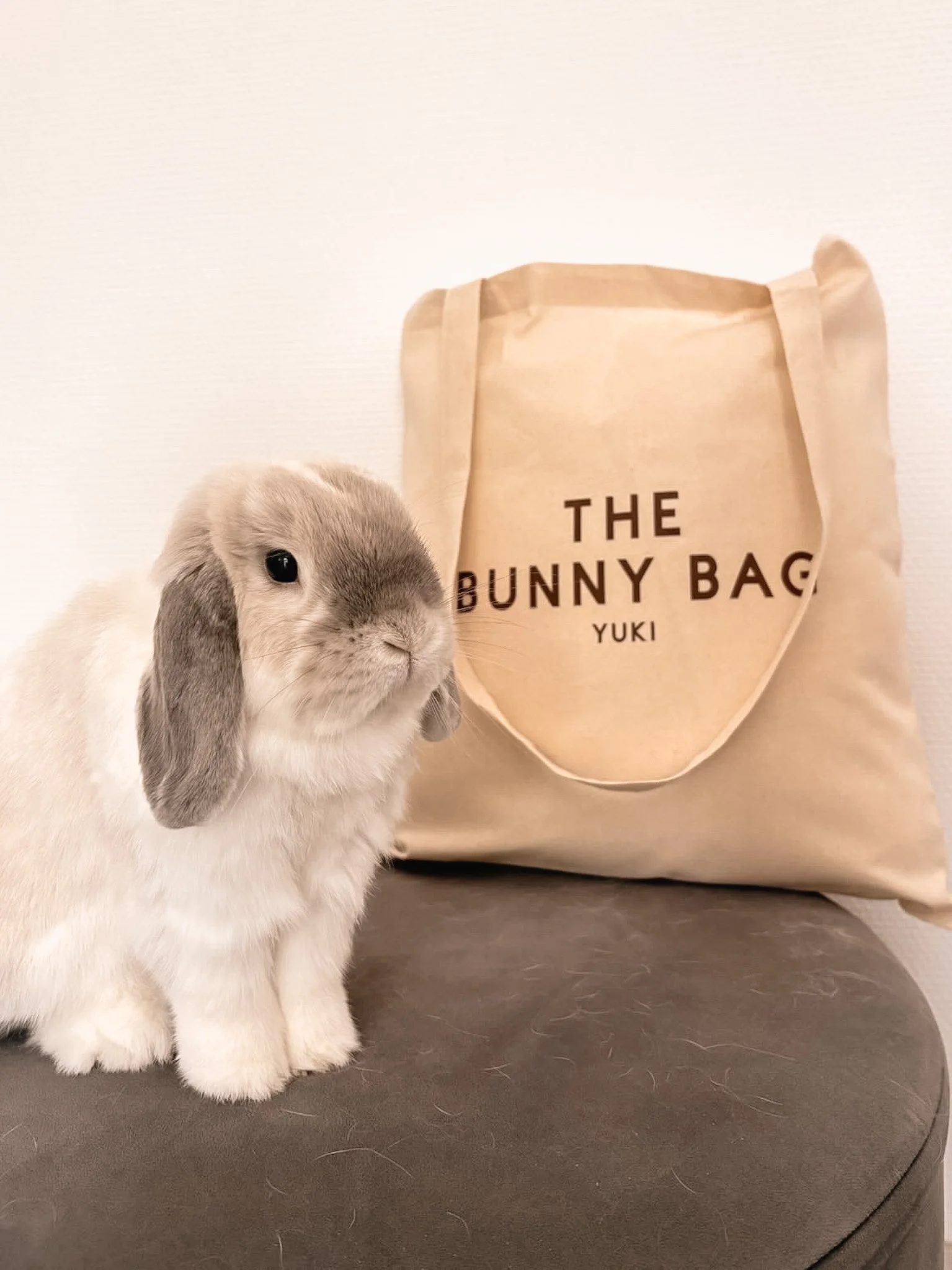 Un lapin blanc avec des oreilles grises assis à côté d'un sac en tissu beige portant l'inscription 'THE BUNNY BAG YUKI'.