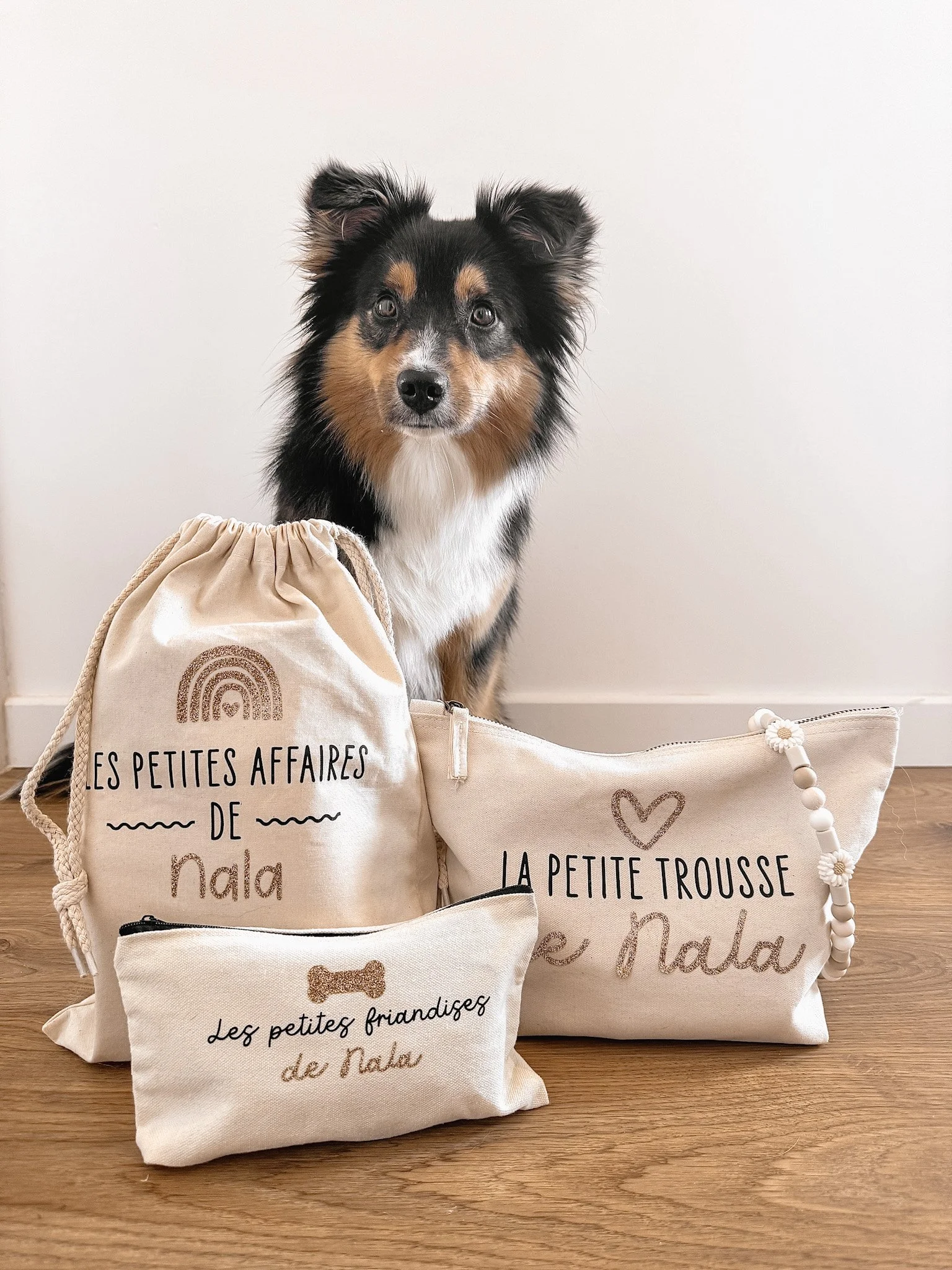 Un chien assis à côté de trois sacs en tissu beige avec des inscriptions en français, sur un sol en bois, contre un mur blanc.