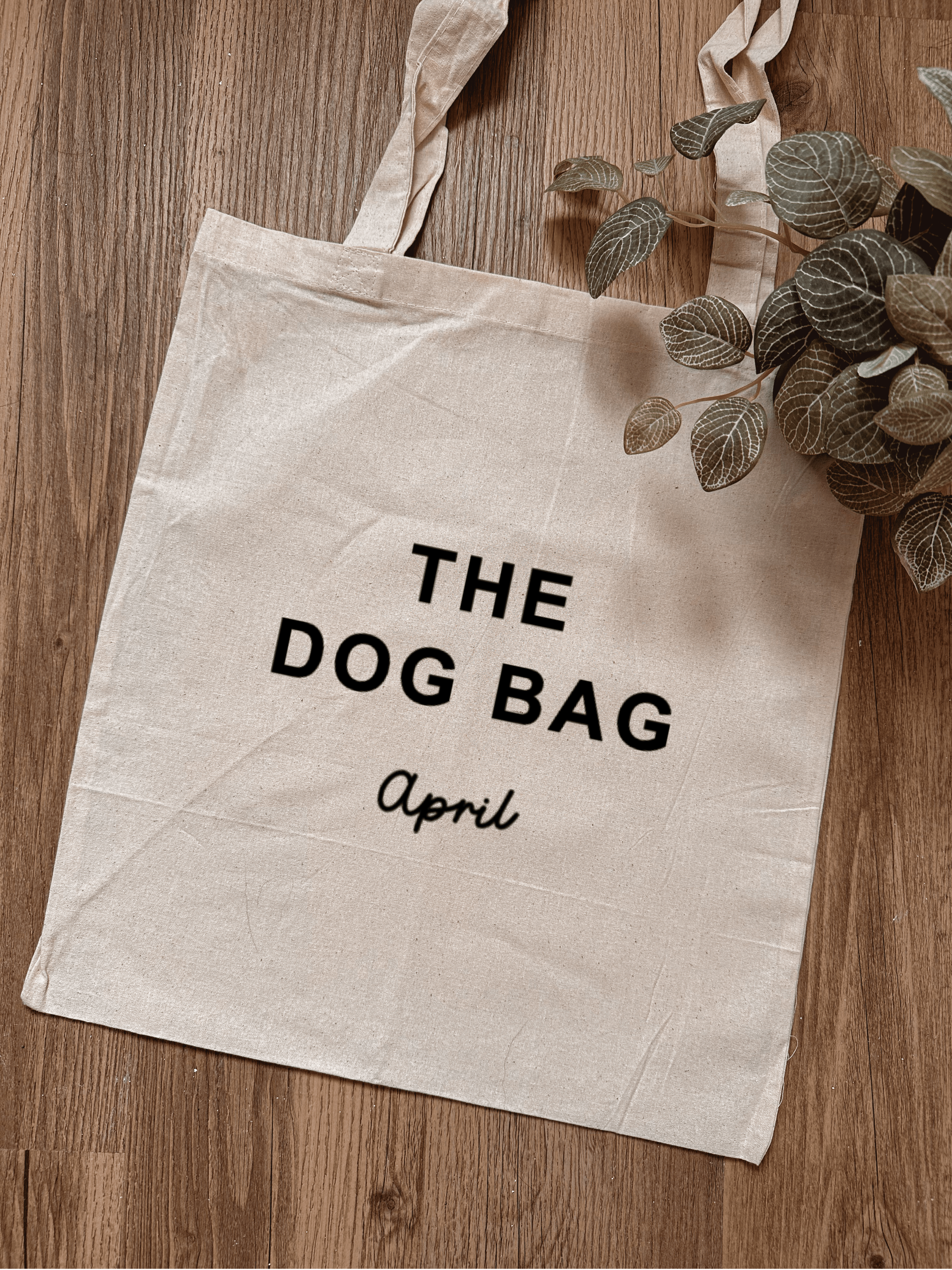 Modèle de template de tote bag (2).png