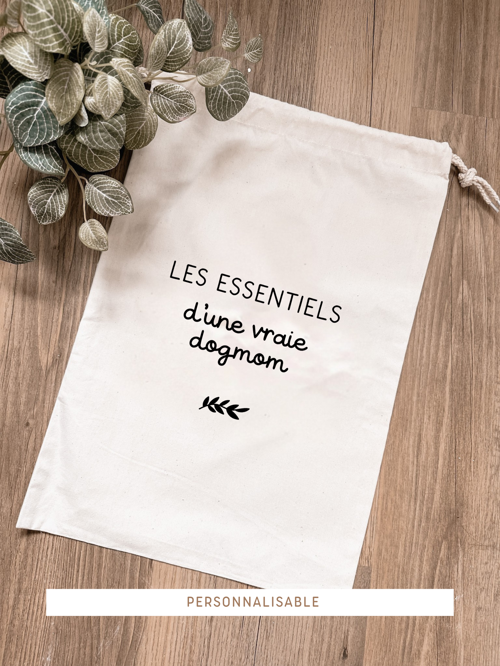 Les essentiel.png