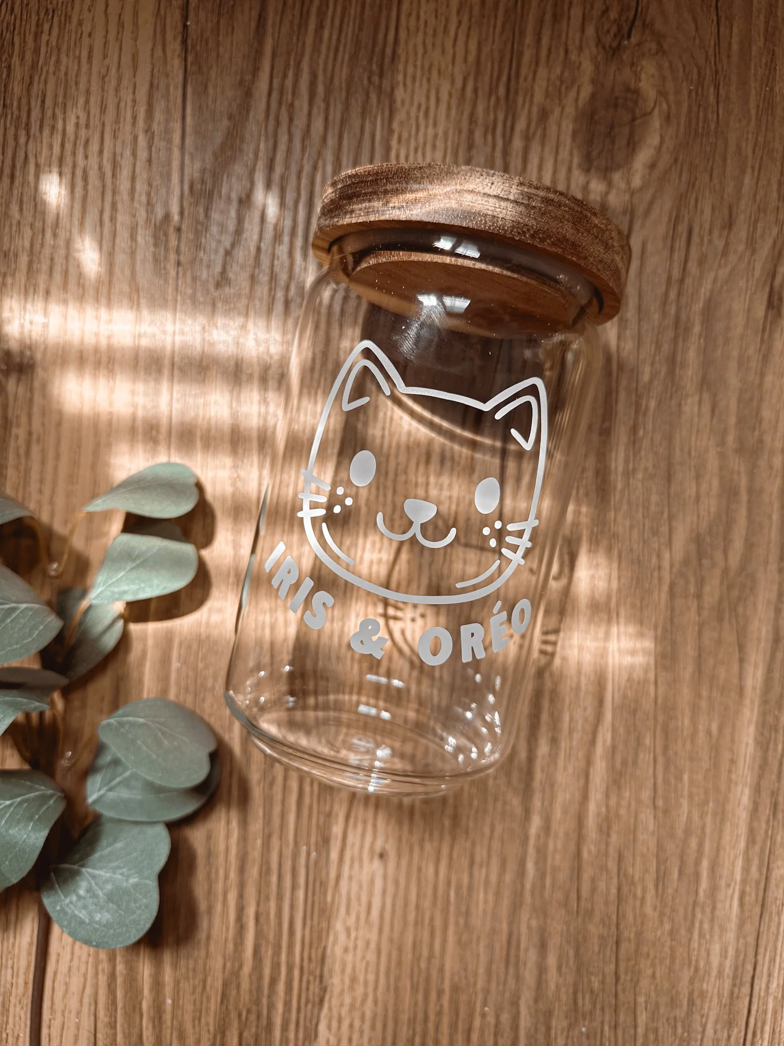 Bocal ⋮ Tête de chat