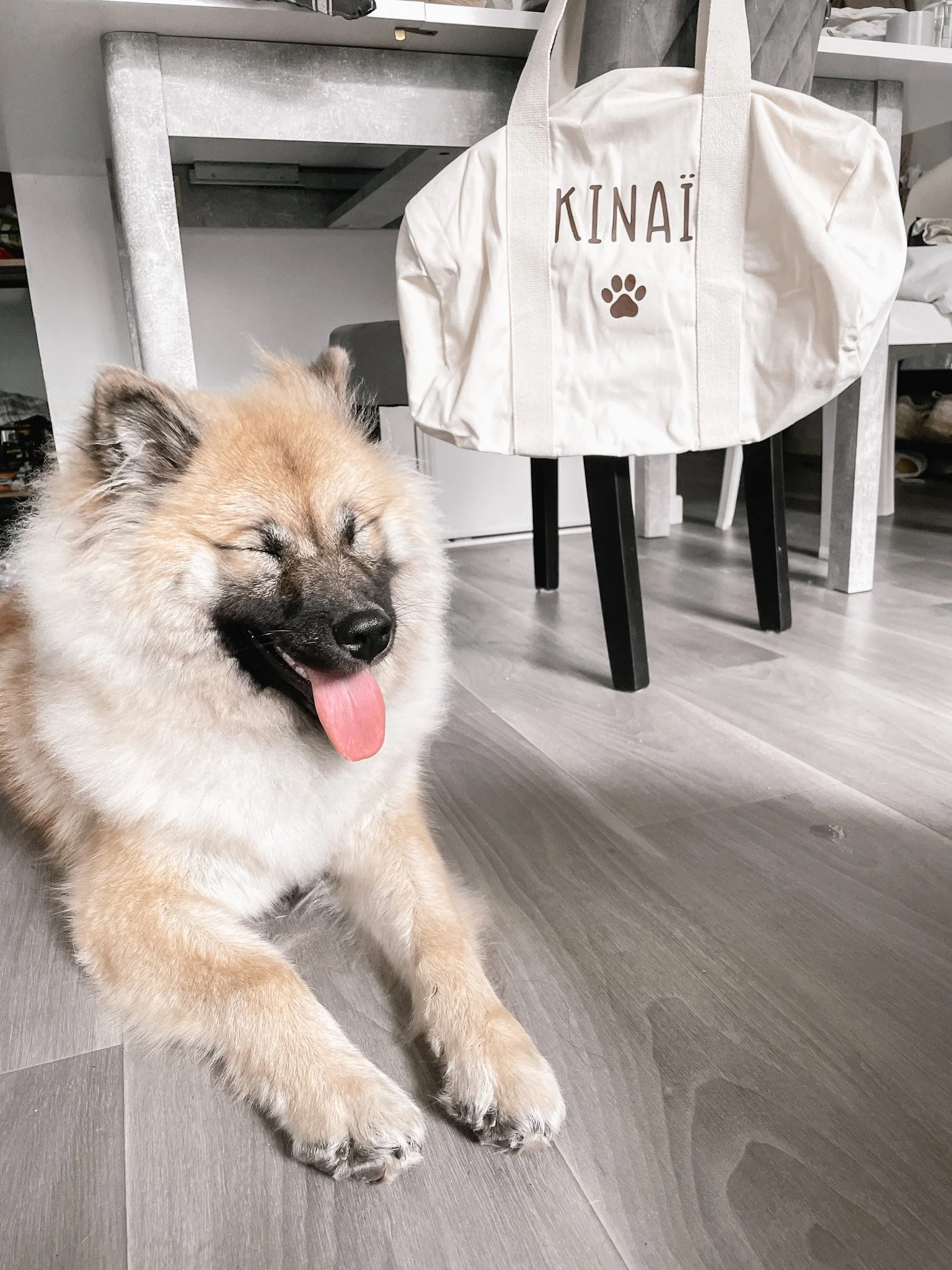 Un chiot adorable, beige, allongé sur le sol, avec la langue pendante, dans une pièce intérieure, en face d'une table en bois et d'un sac en tissu blanc avec l'inscription 'KINAÏ' et une empreinte de patte.