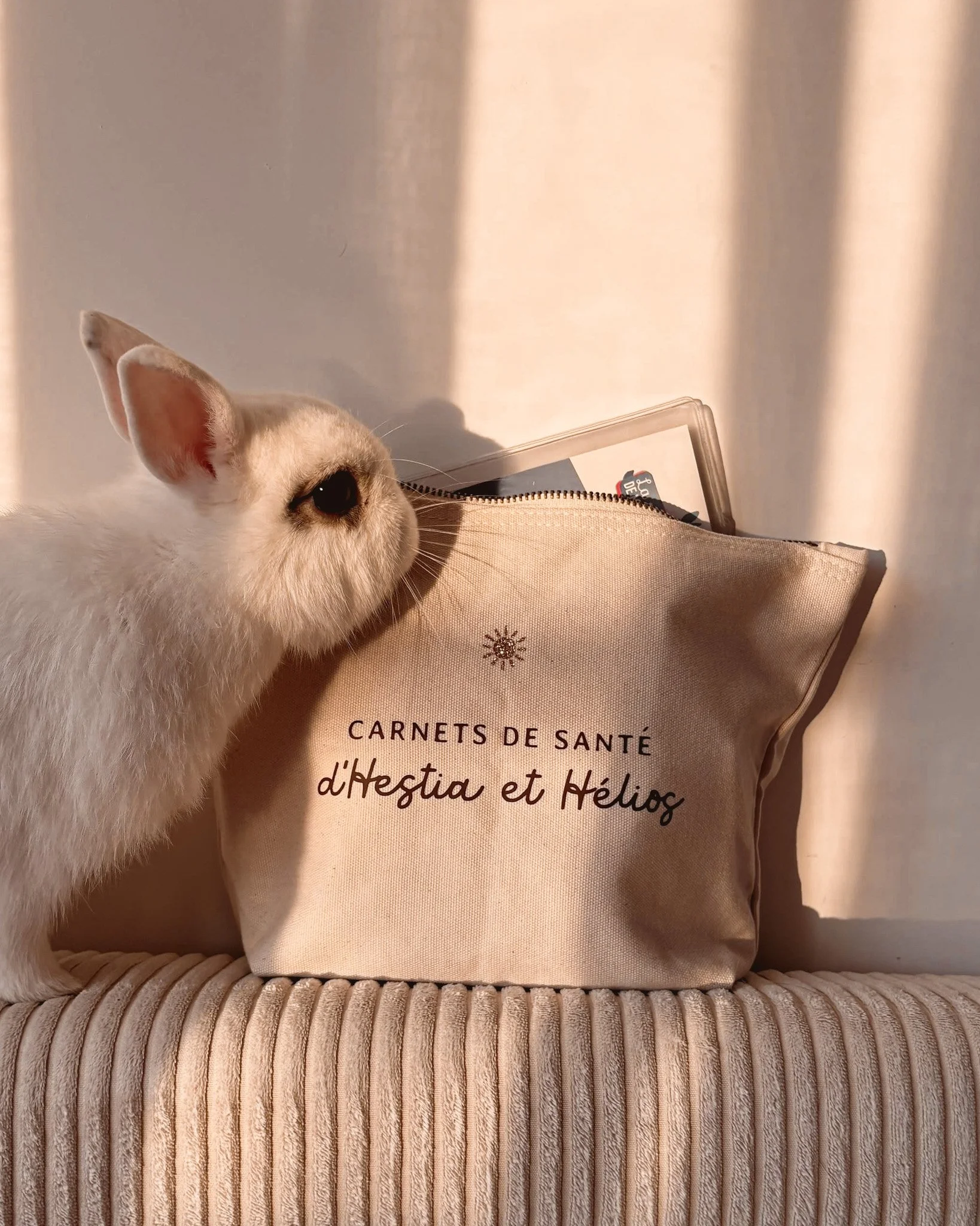 Trousse personnalisée (𝘱𝘳𝘦́𝘯𝘰𝘮 & 𝘪𝘤𝘰̂𝘯𝘦) ⋮ Carnet(s) de santé